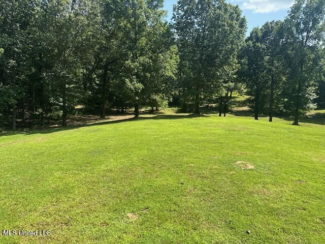 2555 Laws Hill Road Property Photo 7