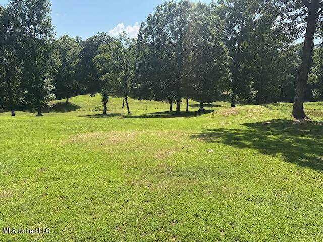 2555 Laws Hill Road Property Photo 8