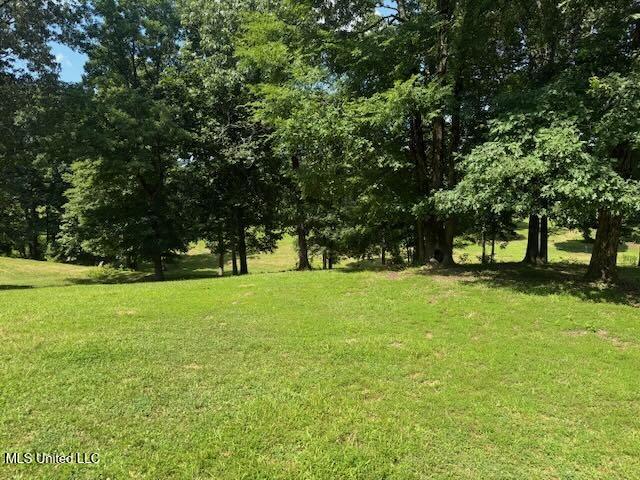 2555 Laws Hill Road Property Photo 9