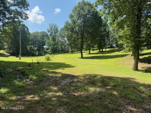 2555 Laws Hill Road Property Photo 10