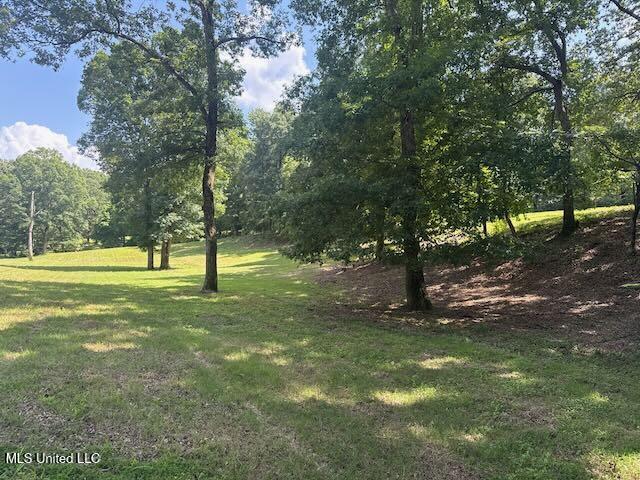 2555 Laws Hill Road Property Photo 11