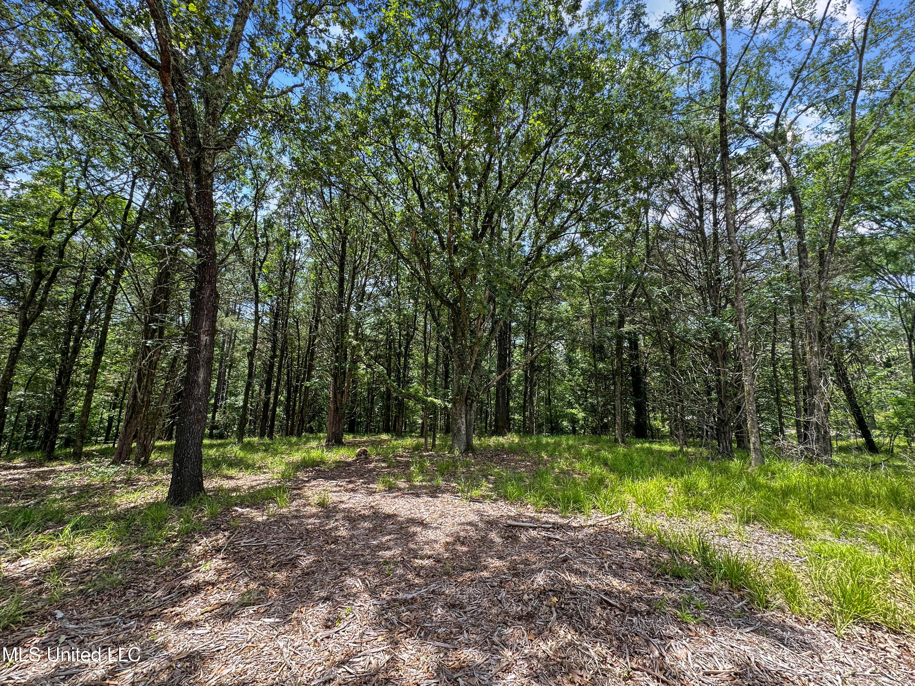 Canyon Ridge Property Photo 4
