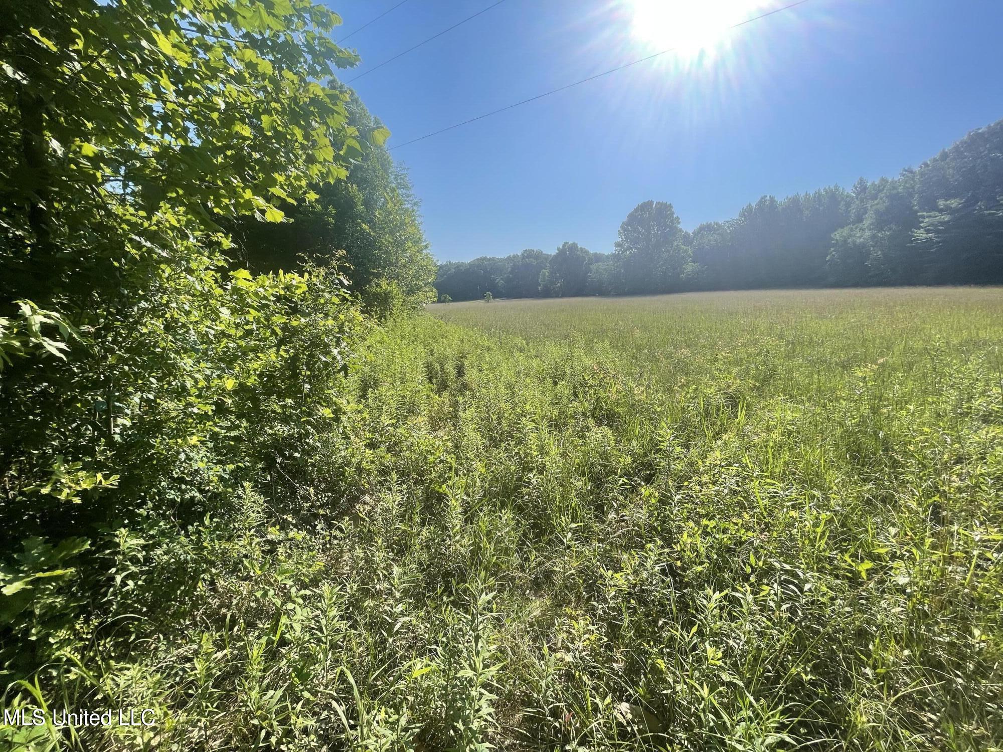 Mcmaster Road Property Photo 2