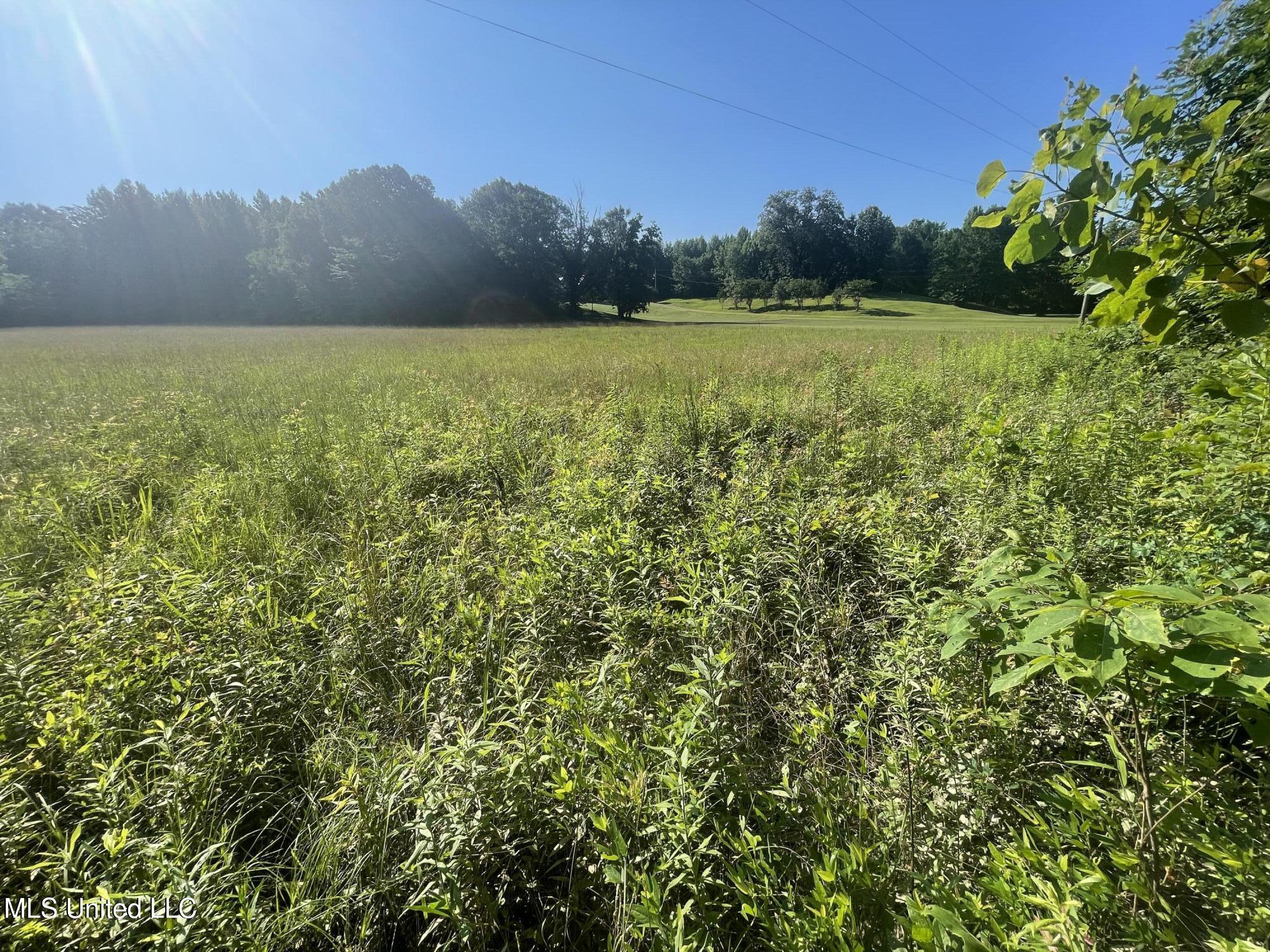 Mcmaster Road Property Photo 3