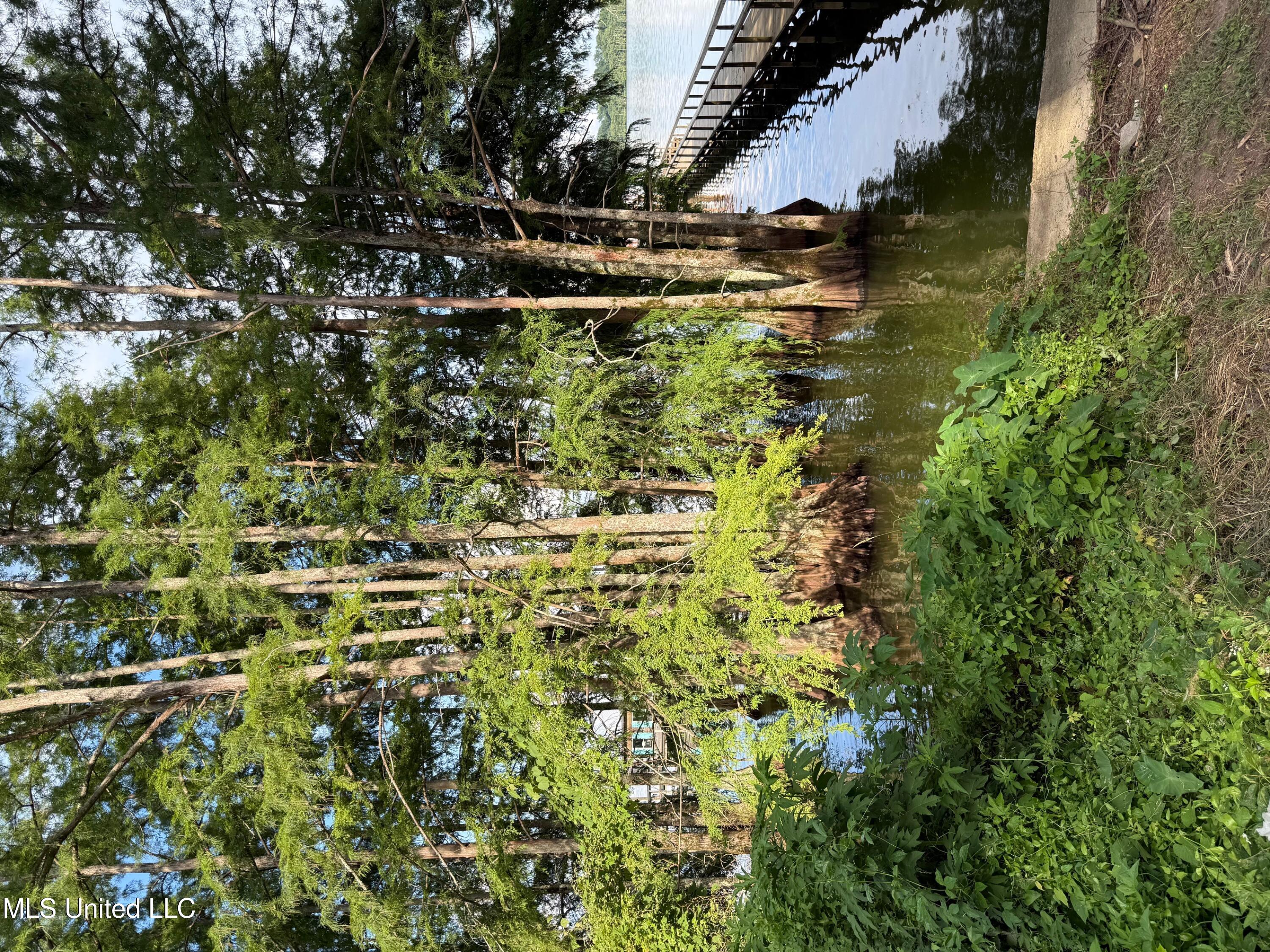 Hwy 568 Property Photo 1