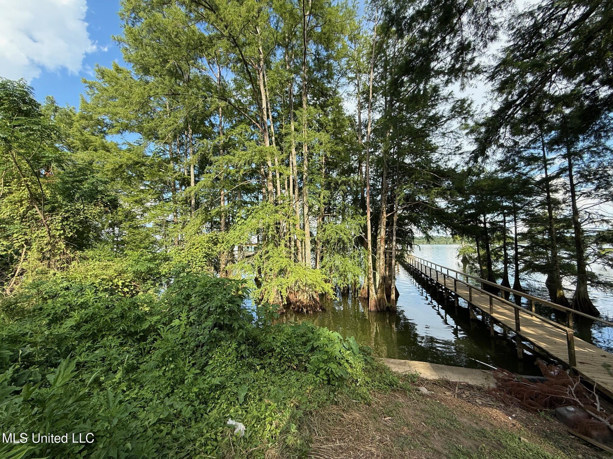 Hwy 568 Property Photo 2