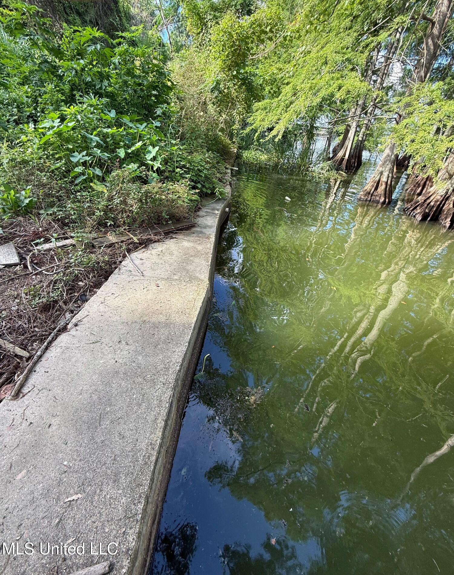 Hwy 568 Property Photo 3