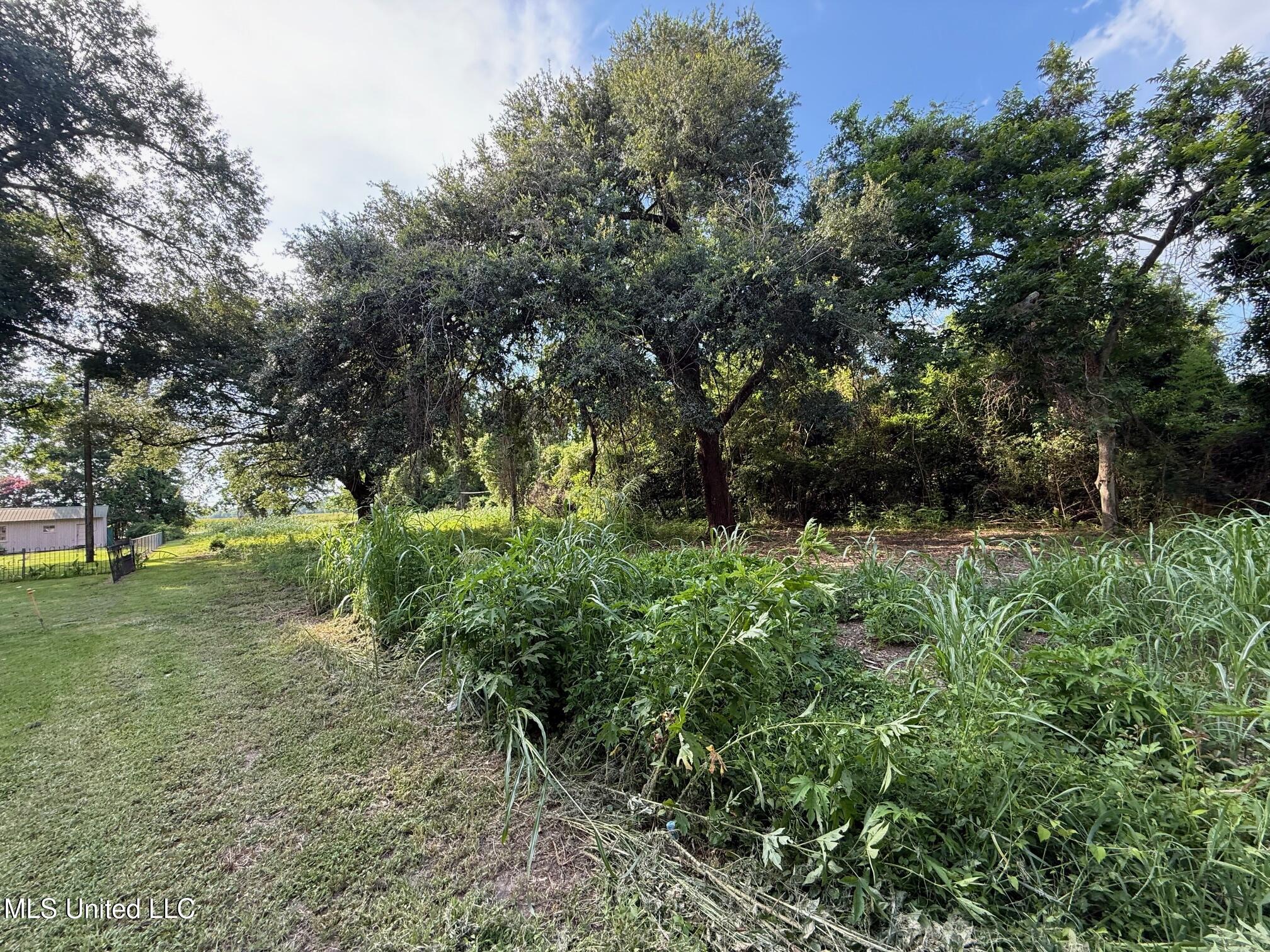 Hwy 568 Property Photo 4