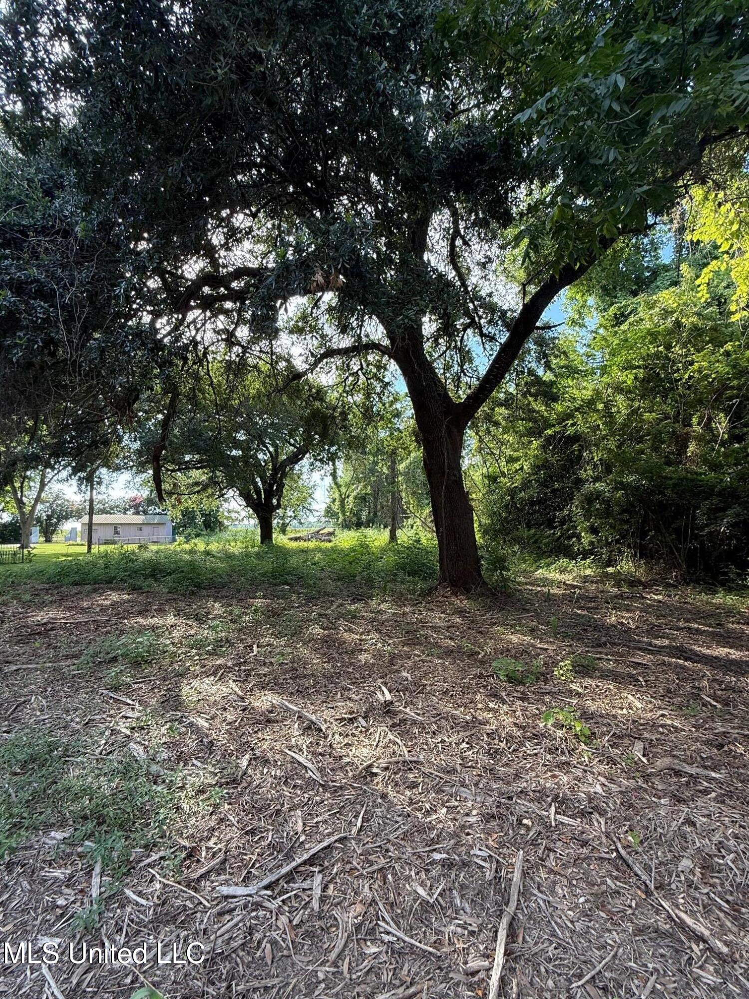 Hwy 568 Property Photo 5