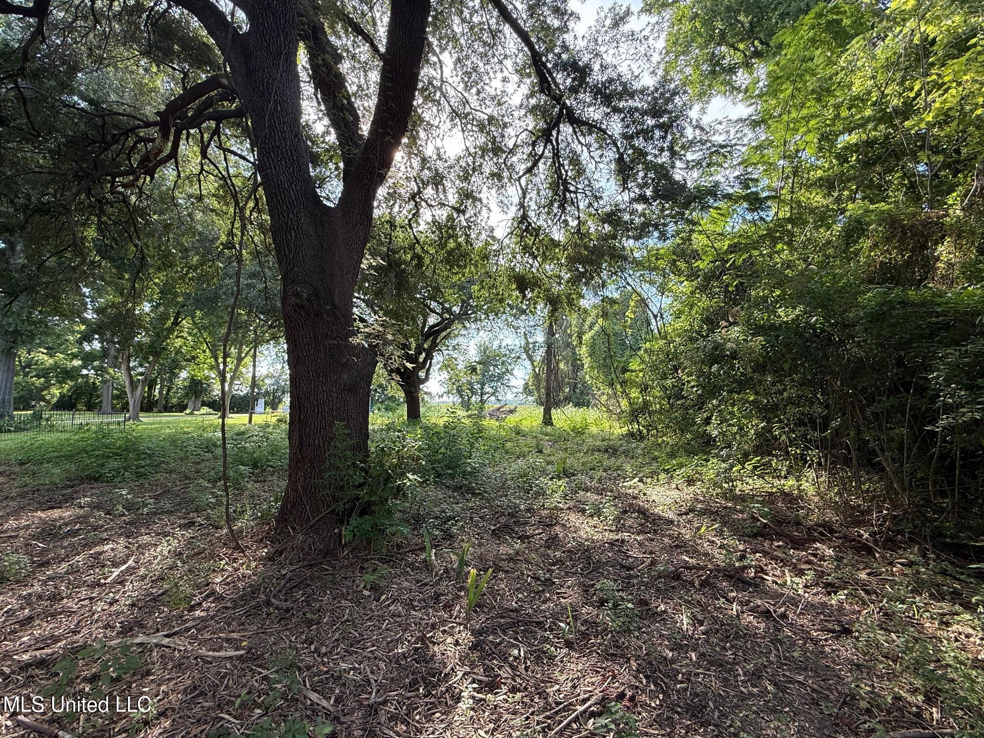 Hwy 568 Property Photo 6