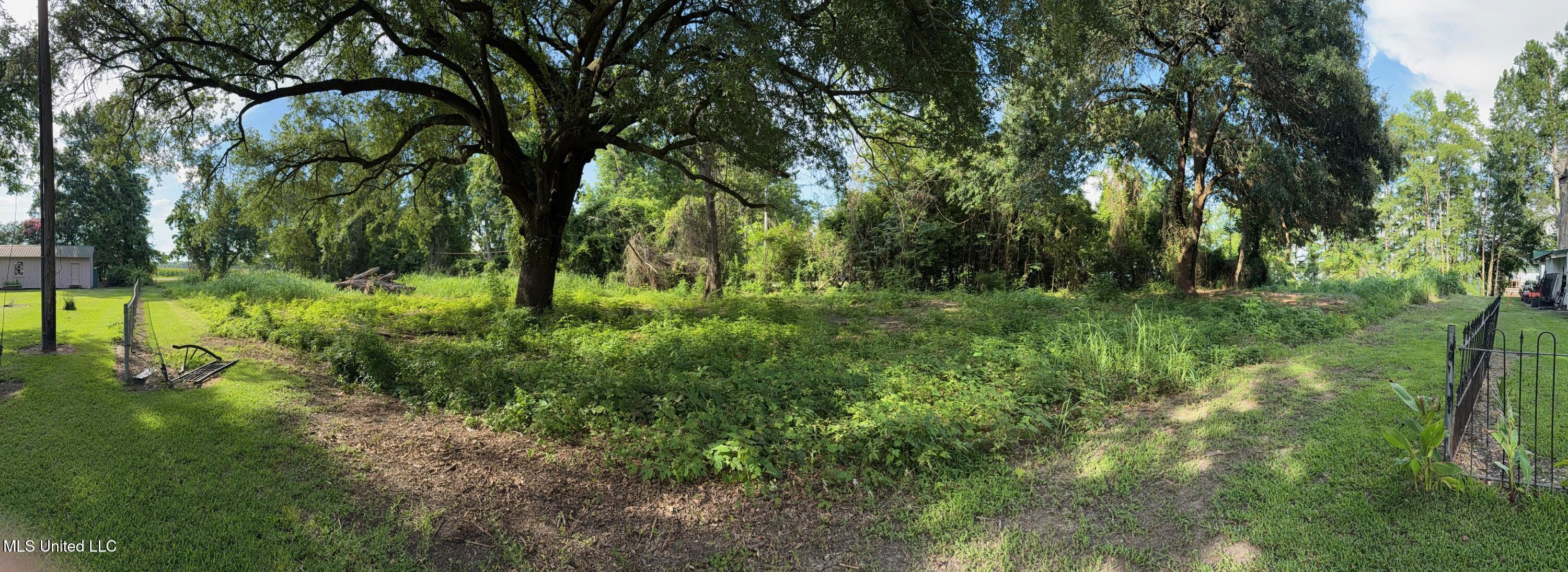 Hwy 568 Property Photo 7