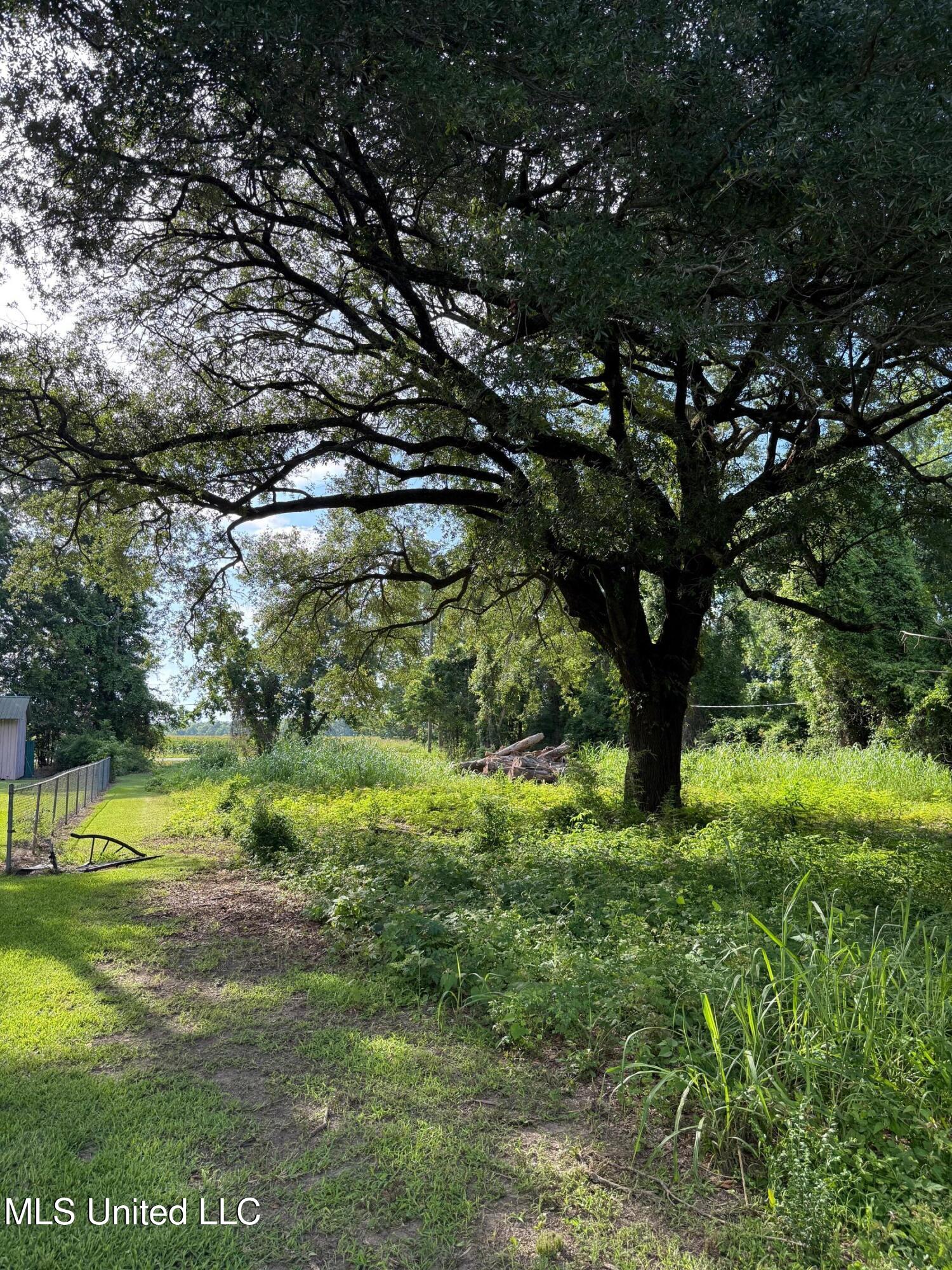 Hwy 568 Property Photo 8