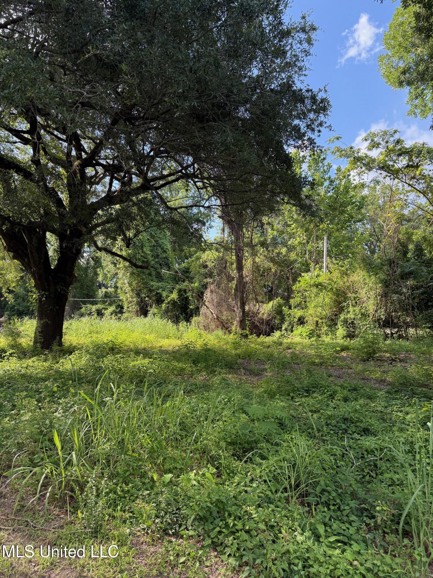 Hwy 568 Property Photo 9