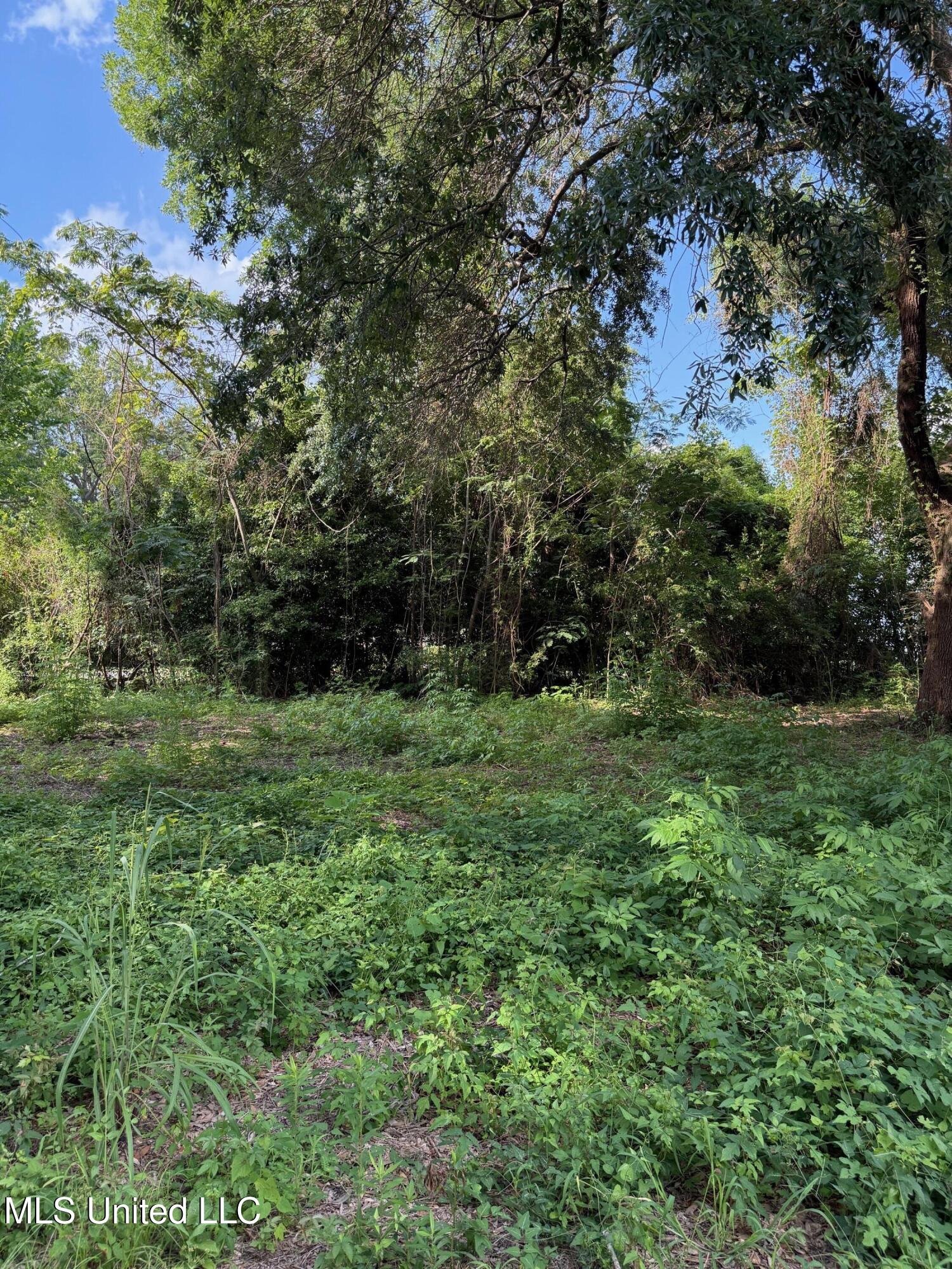 Hwy 568 Property Photo 10