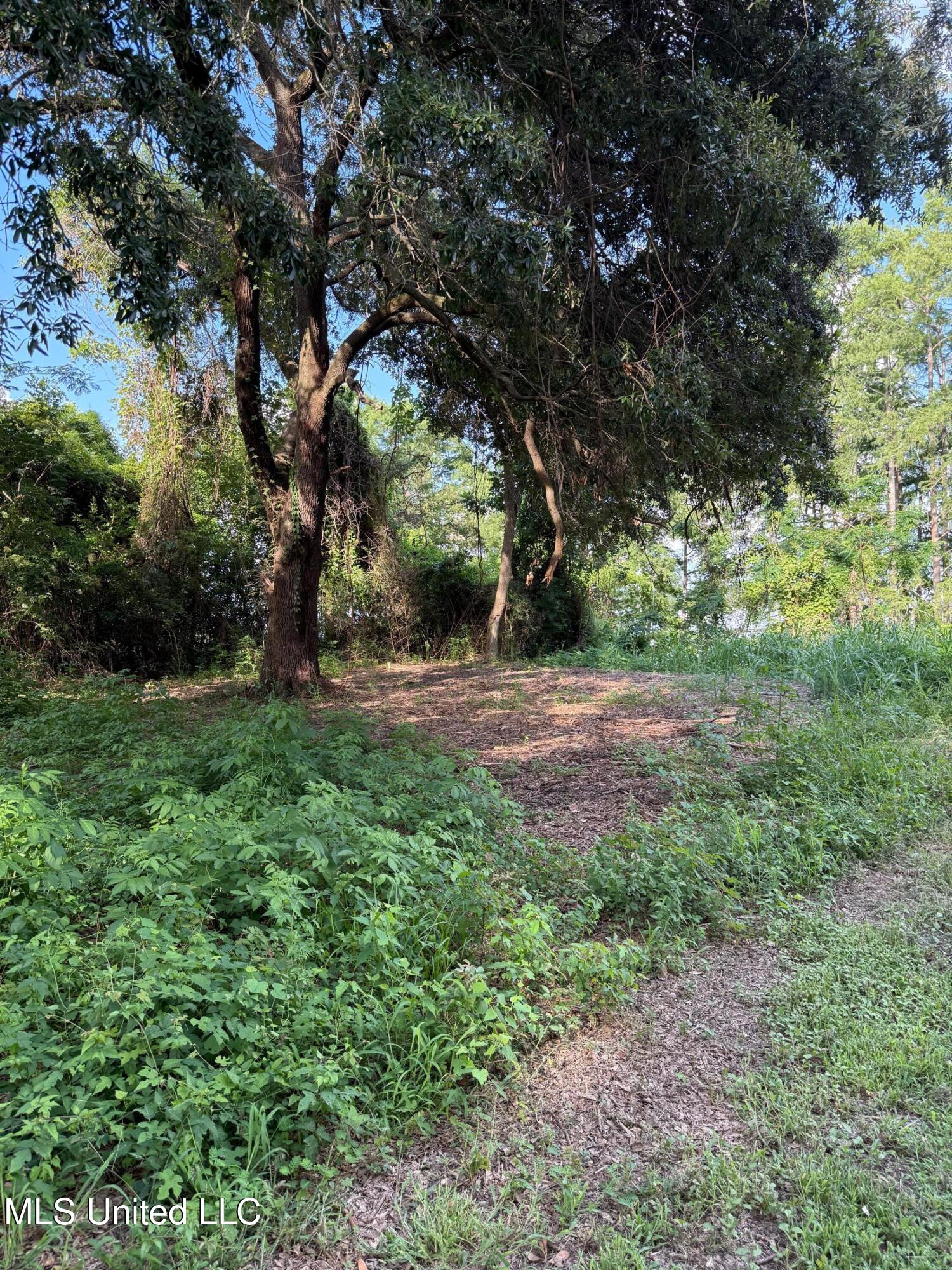 Hwy 568 Property Photo 11