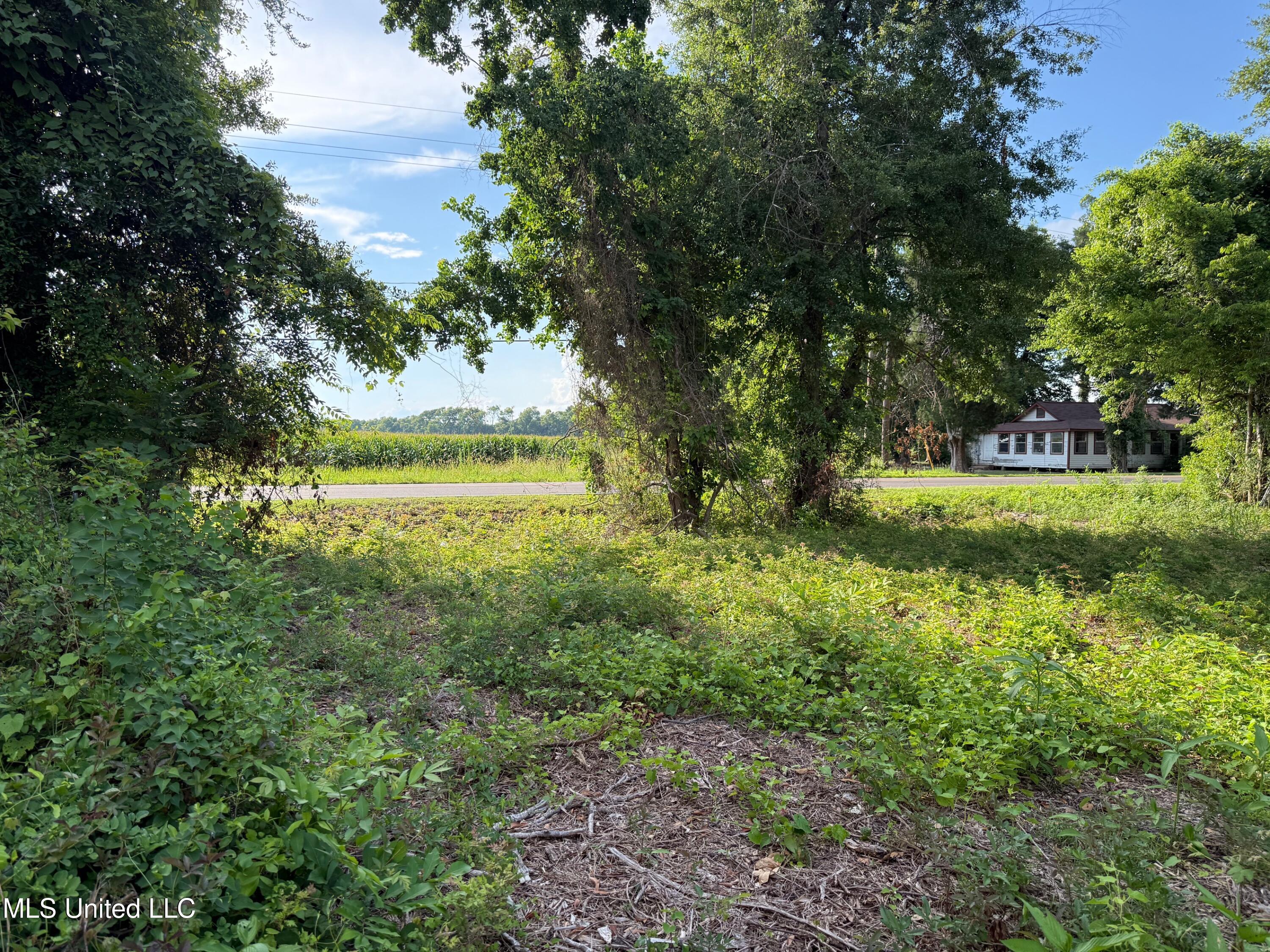 Hwy 568 Property Photo 13