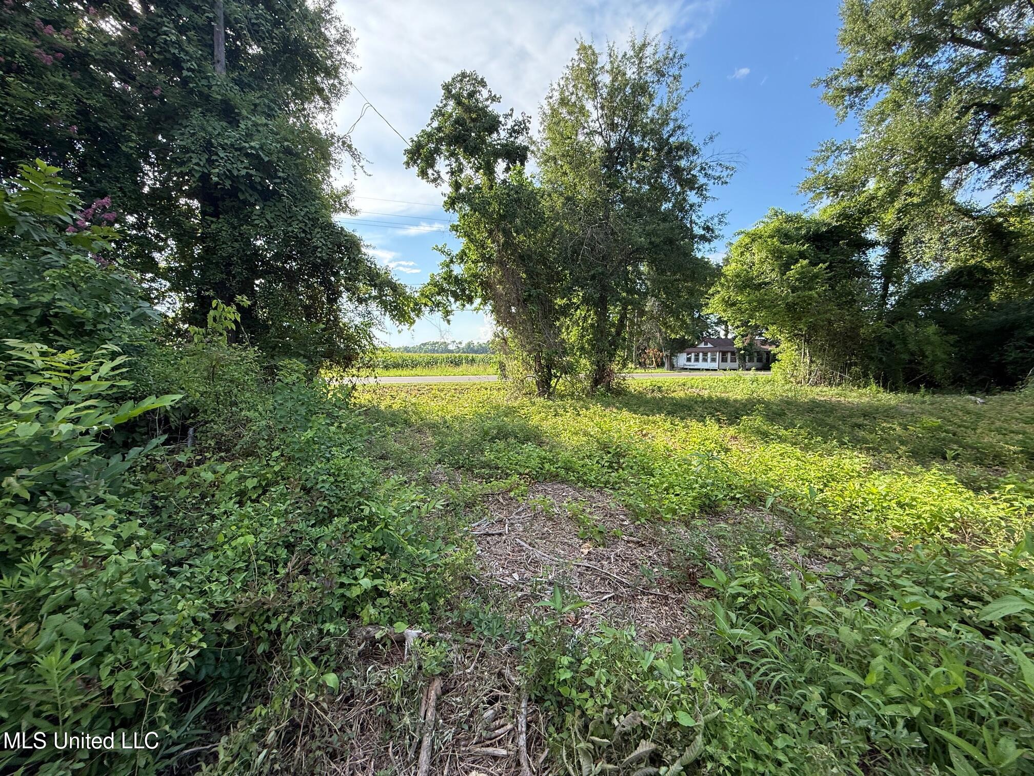 Hwy 568 Property Photo 14