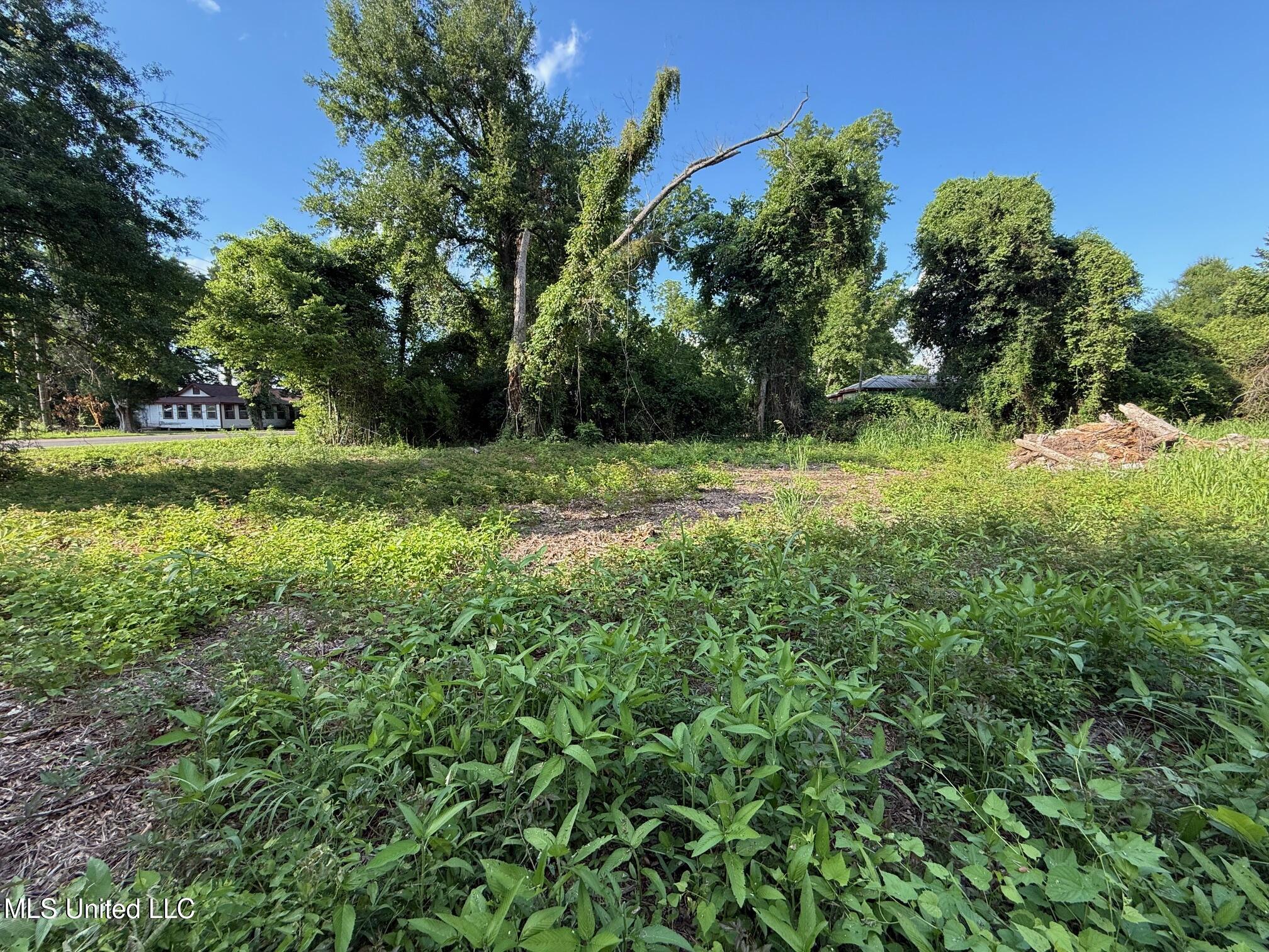 Hwy 568 Property Photo 15