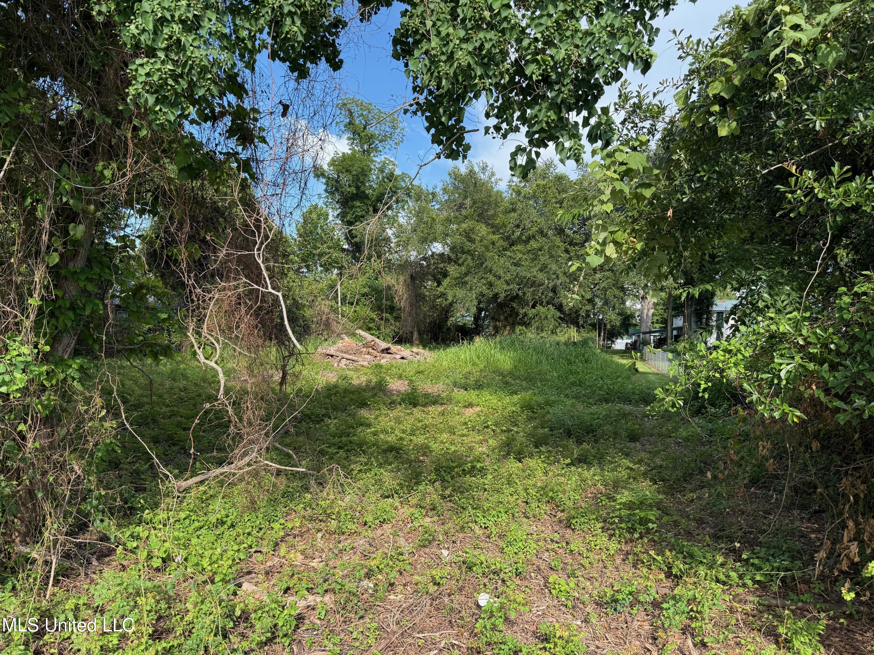 Hwy 568 Property Photo 17