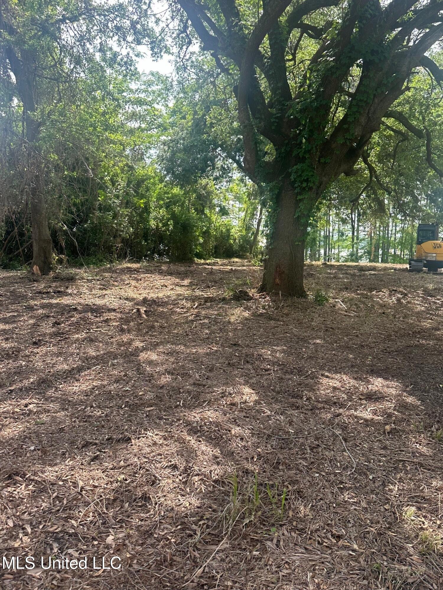 Hwy 568 Property Photo 22