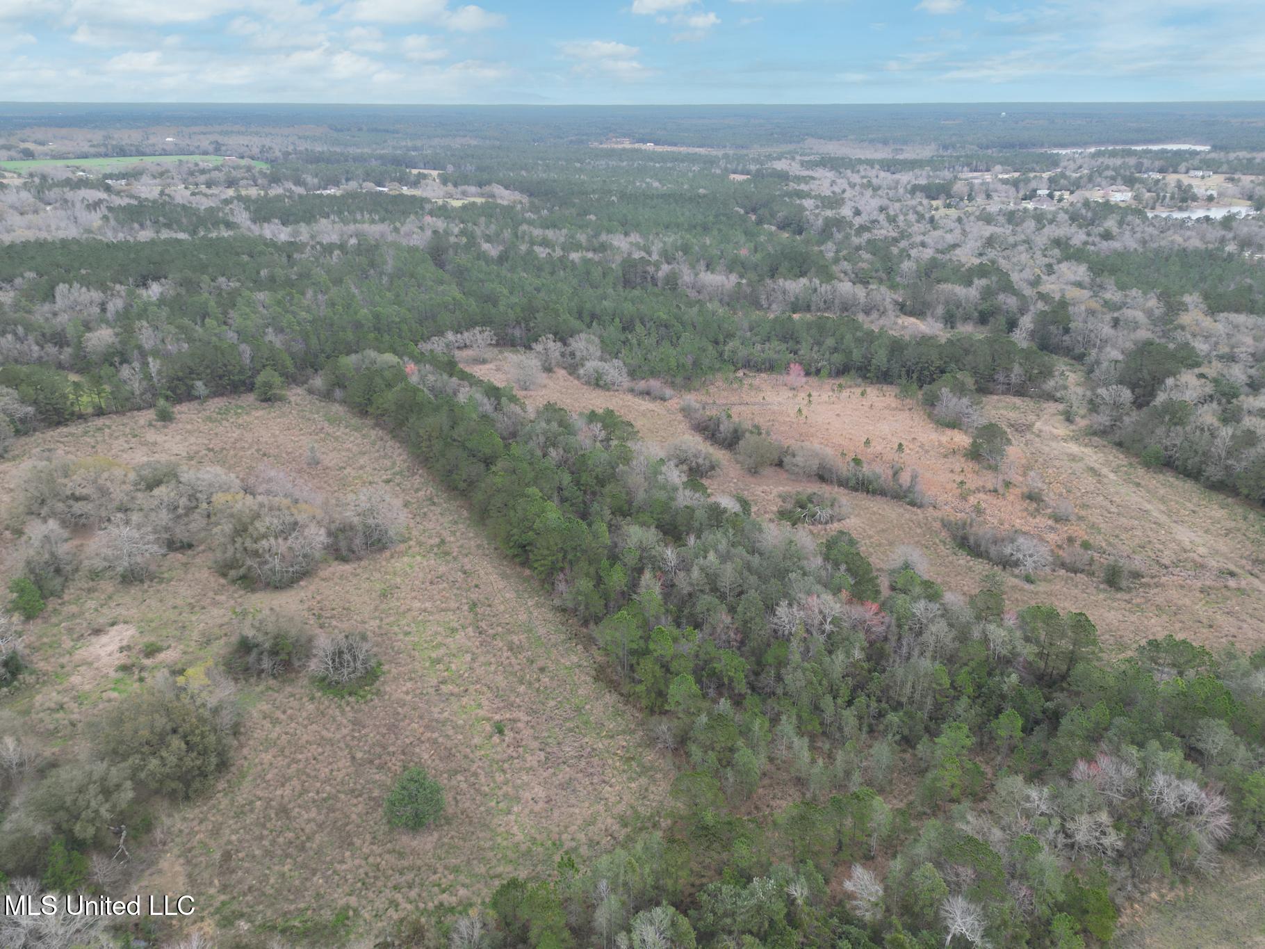 Highway 43 Parcel 1 And 2 Property Photo 4