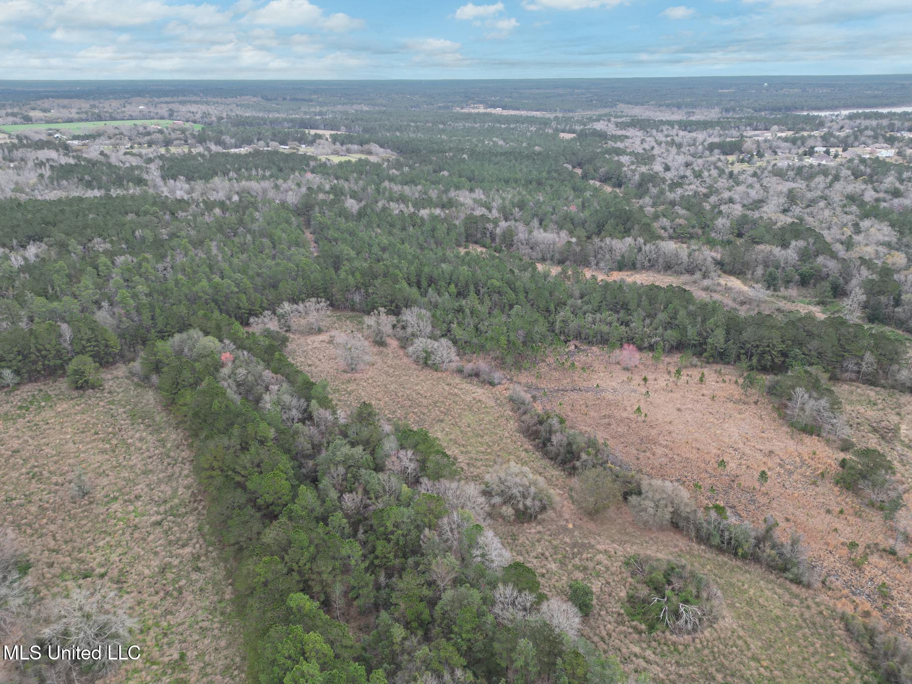 Highway 43 Parcel 1 And 2 Property Photo 5