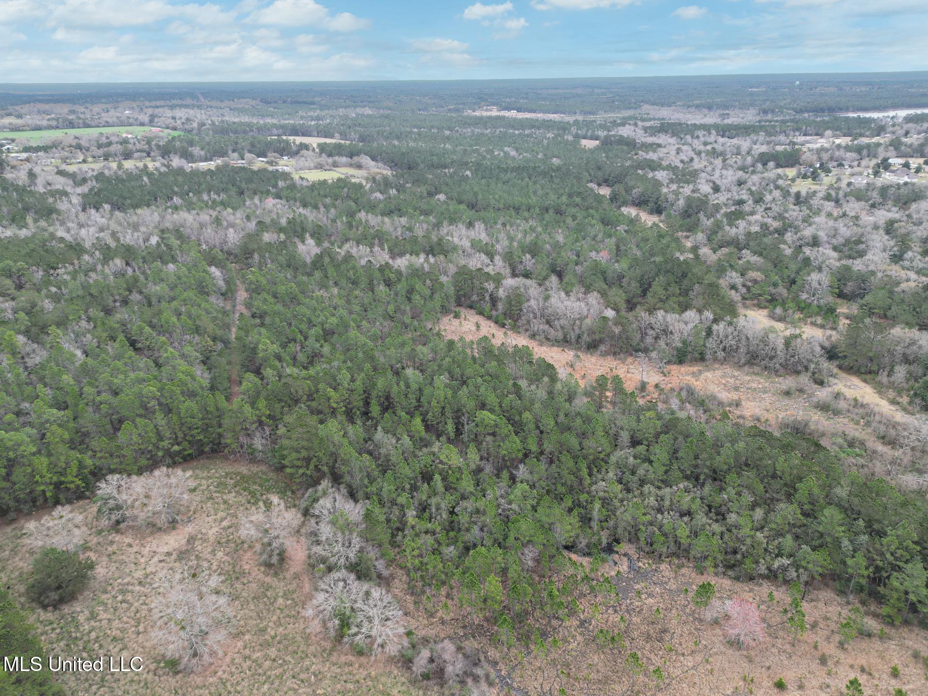 Highway 43 Parcel 1 And 2 Property Photo 6
