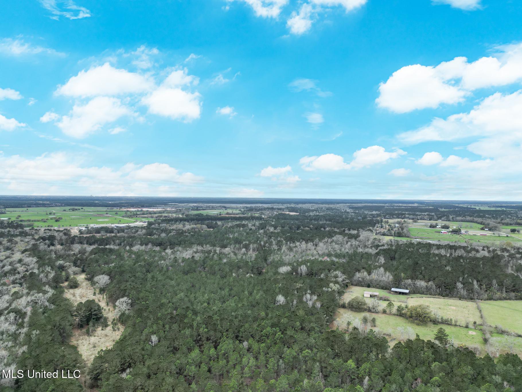 Highway 43 Parcel 1 And 2 Property Photo 8