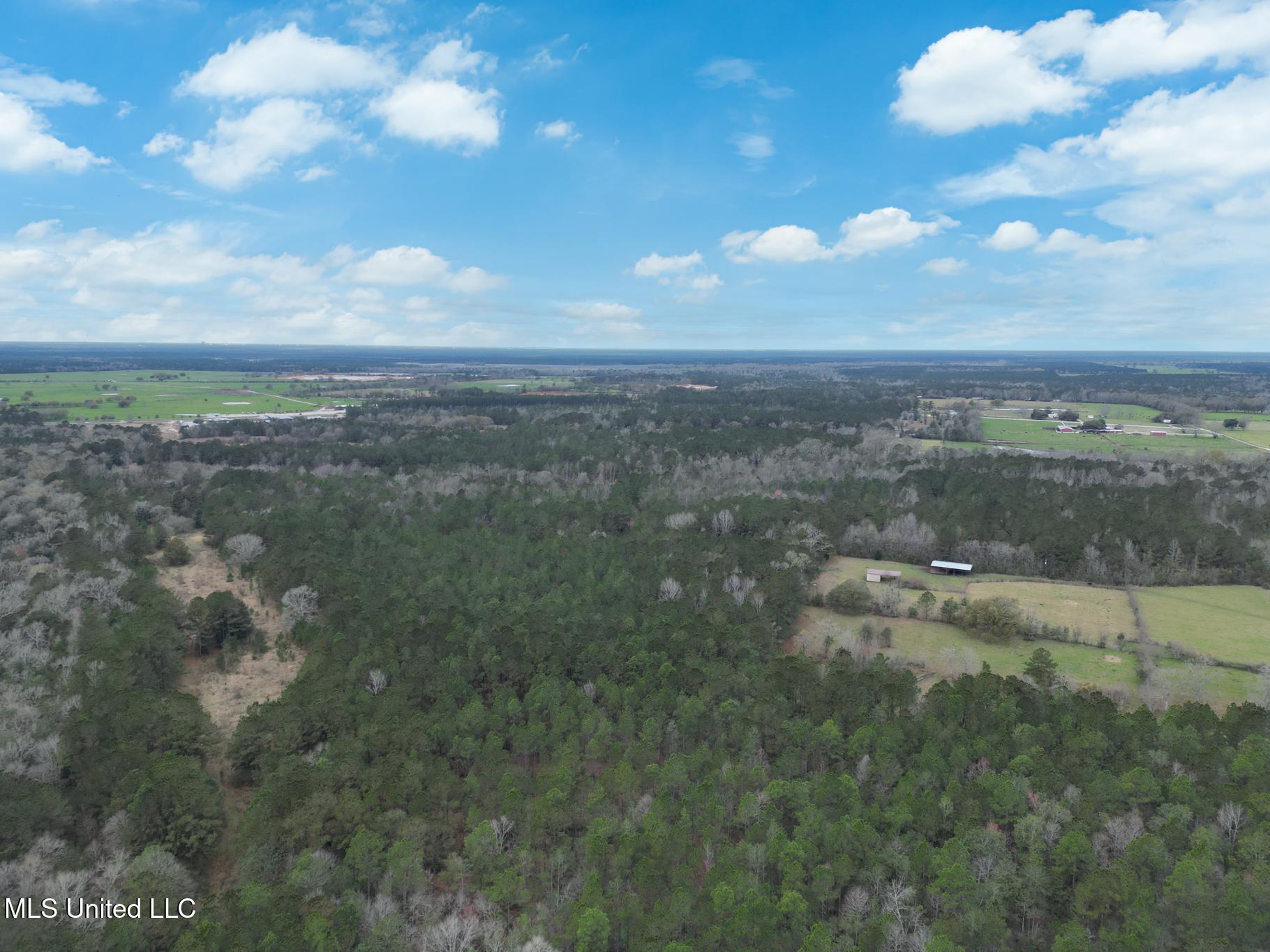 Highway 43 Parcel 1 Property Photo 3