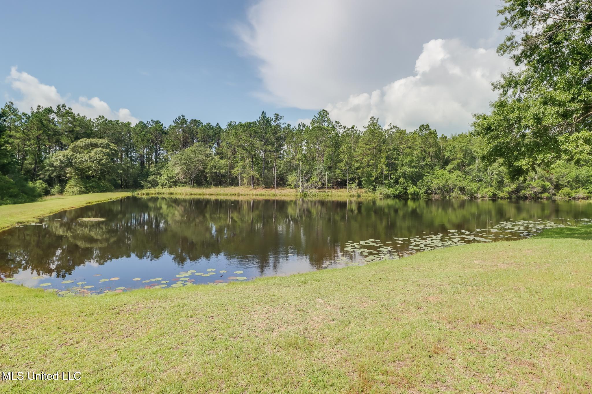 16450 Bell Creek Road Property Photo 12