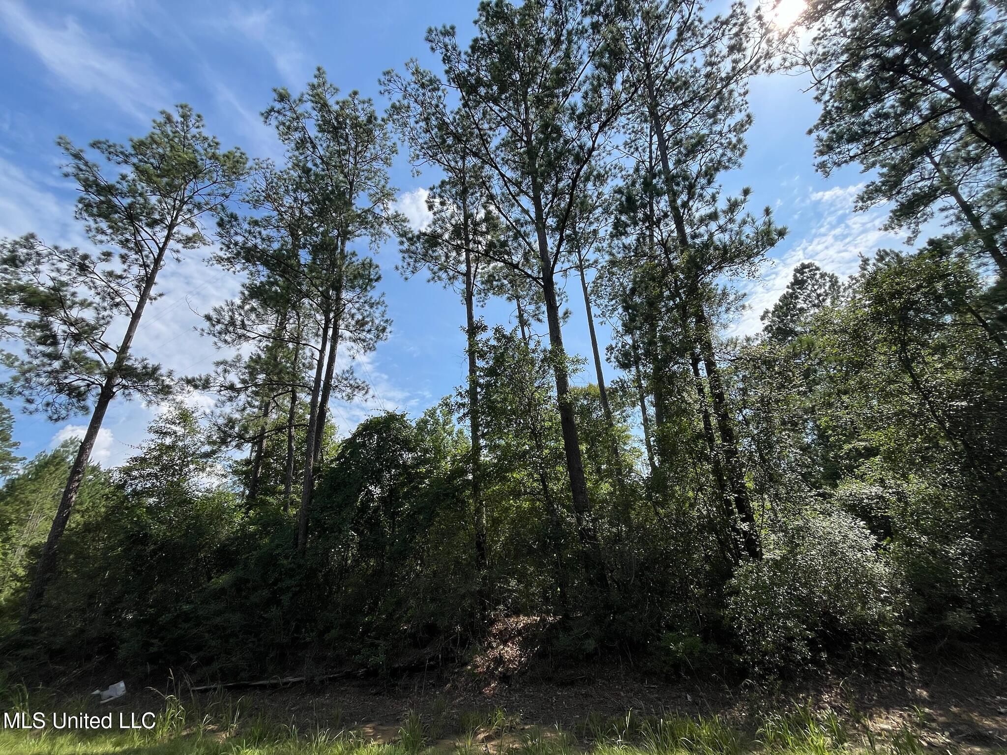 N Hwy 63 Property Photo 2