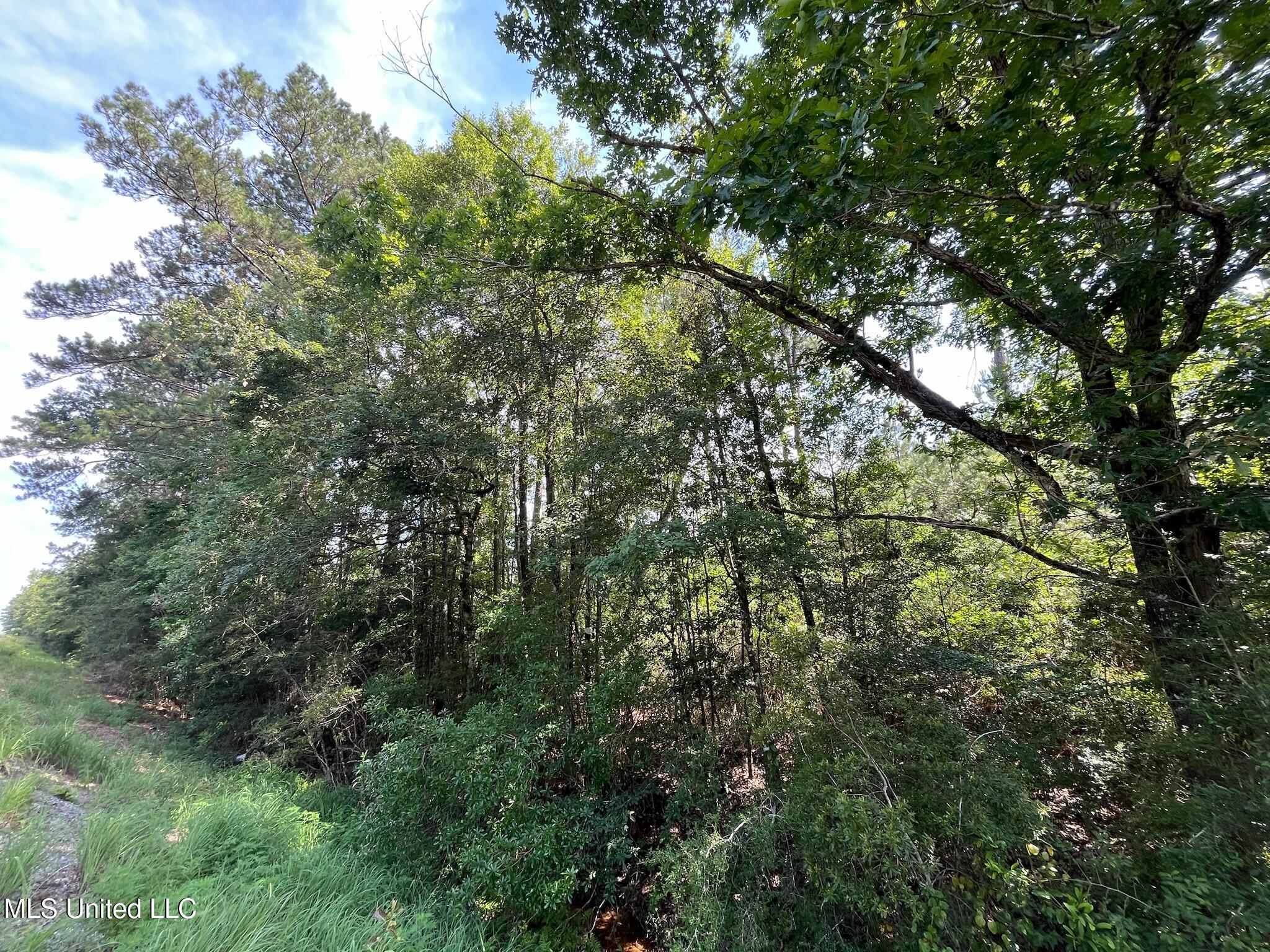 N Hwy 63 Property Photo 3