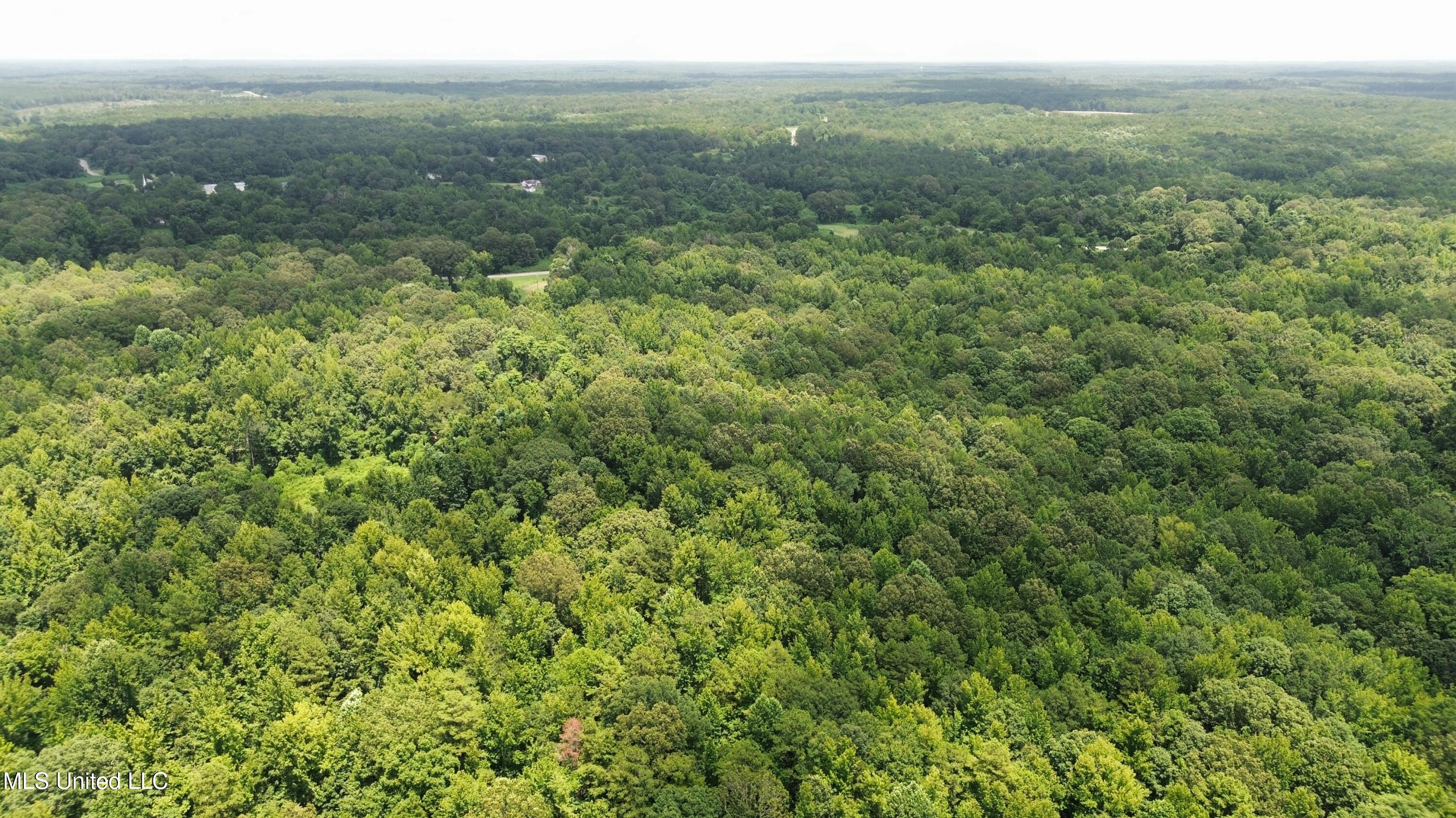 Scallions Road Property Photo 3