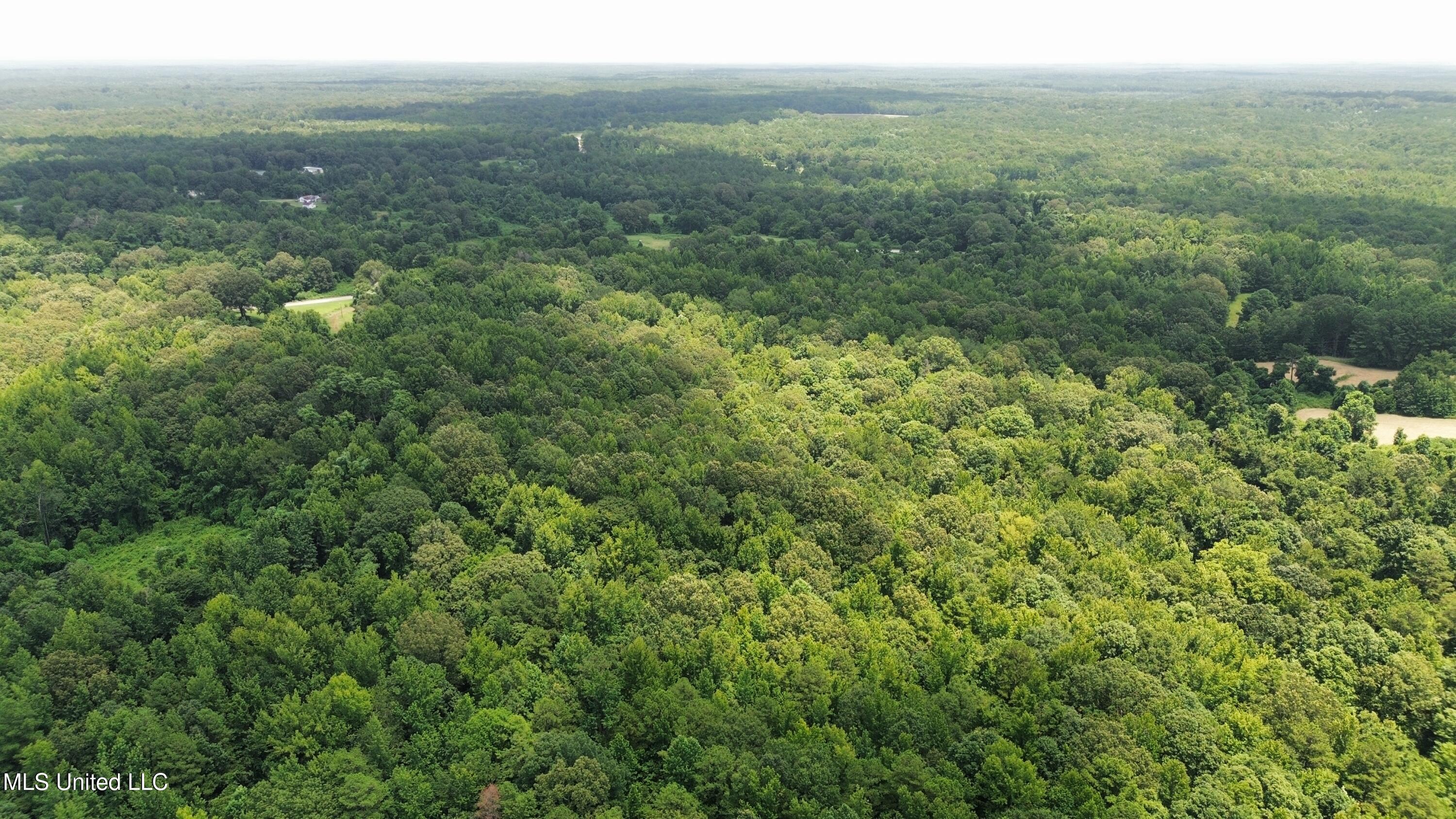 Scallions Road Property Photo 6