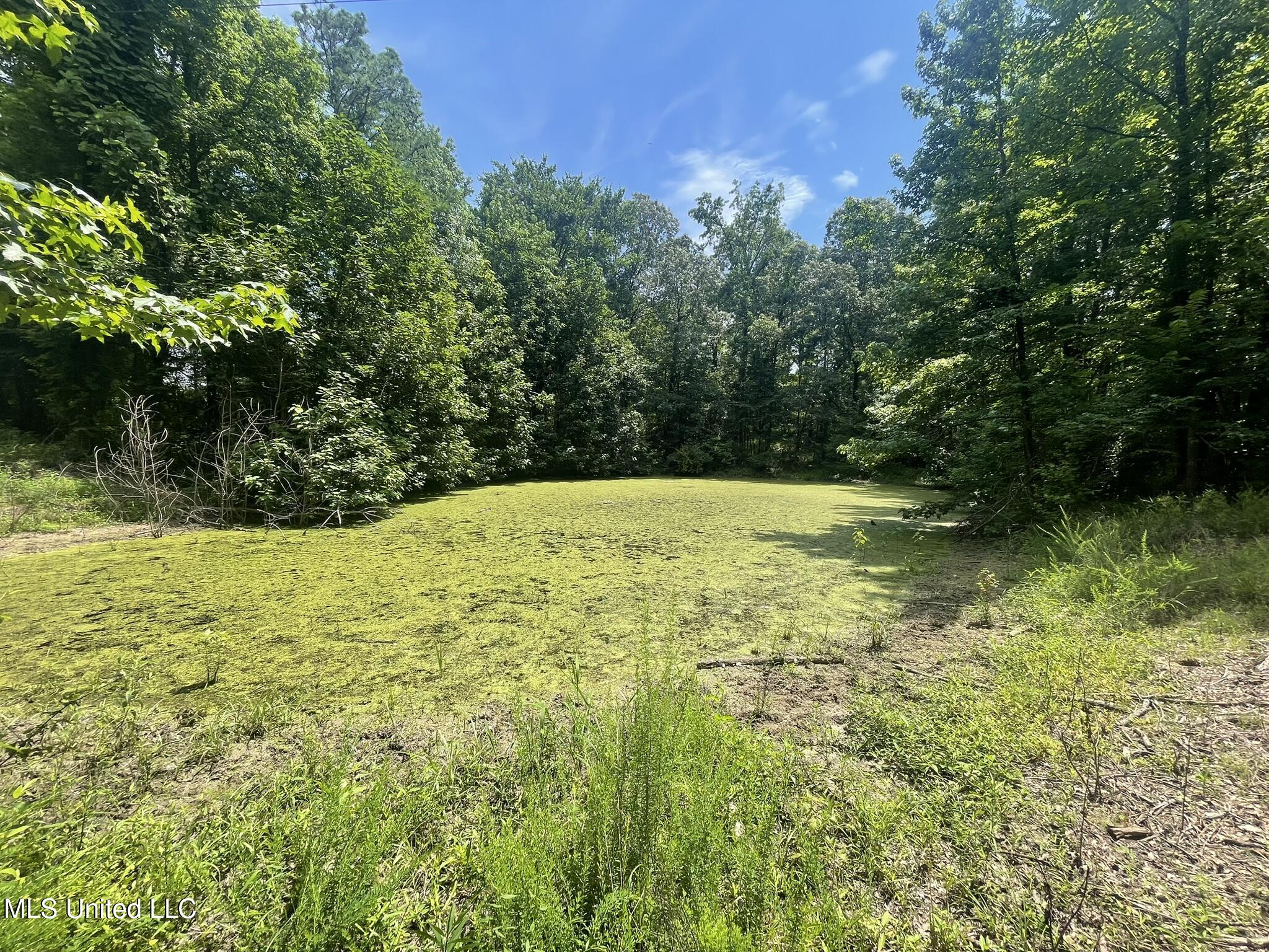 Scallions Road Property Photo 7