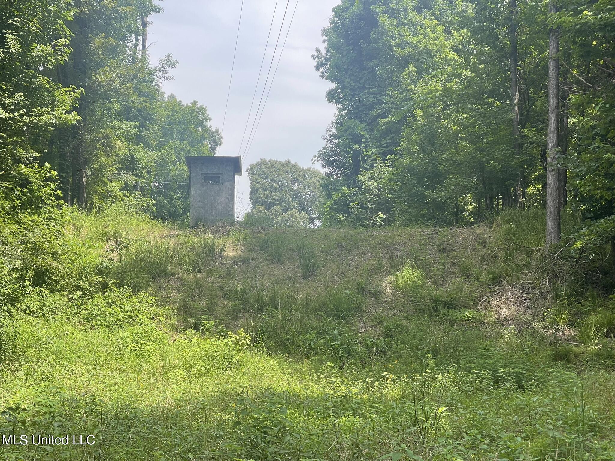 Scallions Road Property Photo 15