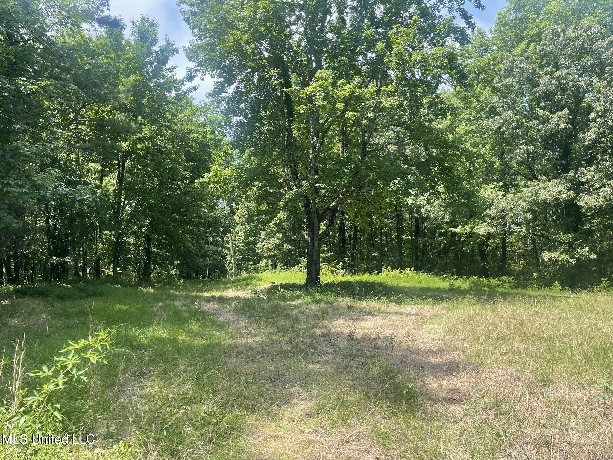 Scallions Road Property Photo 18