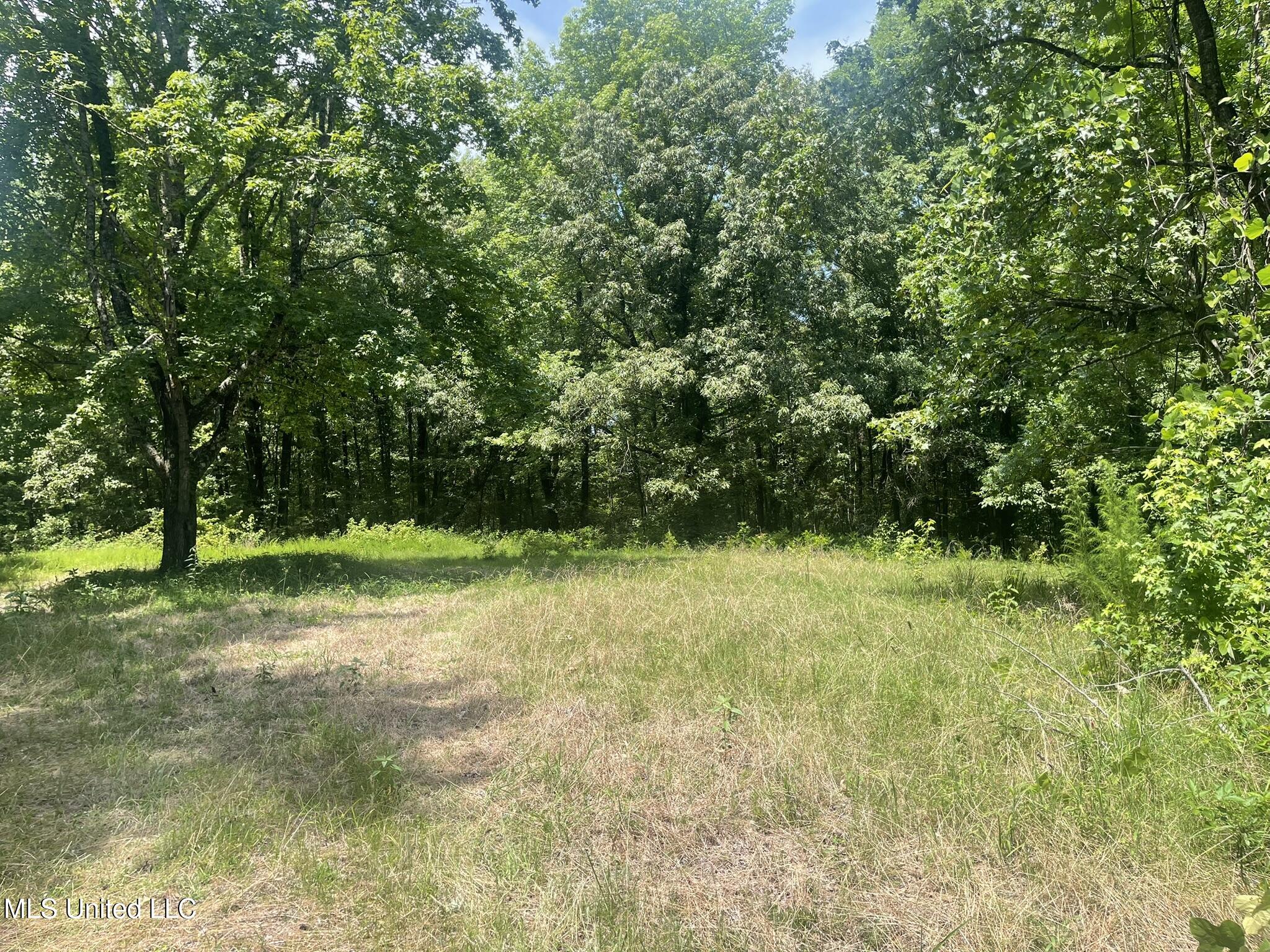 Scallions Road Property Photo 19