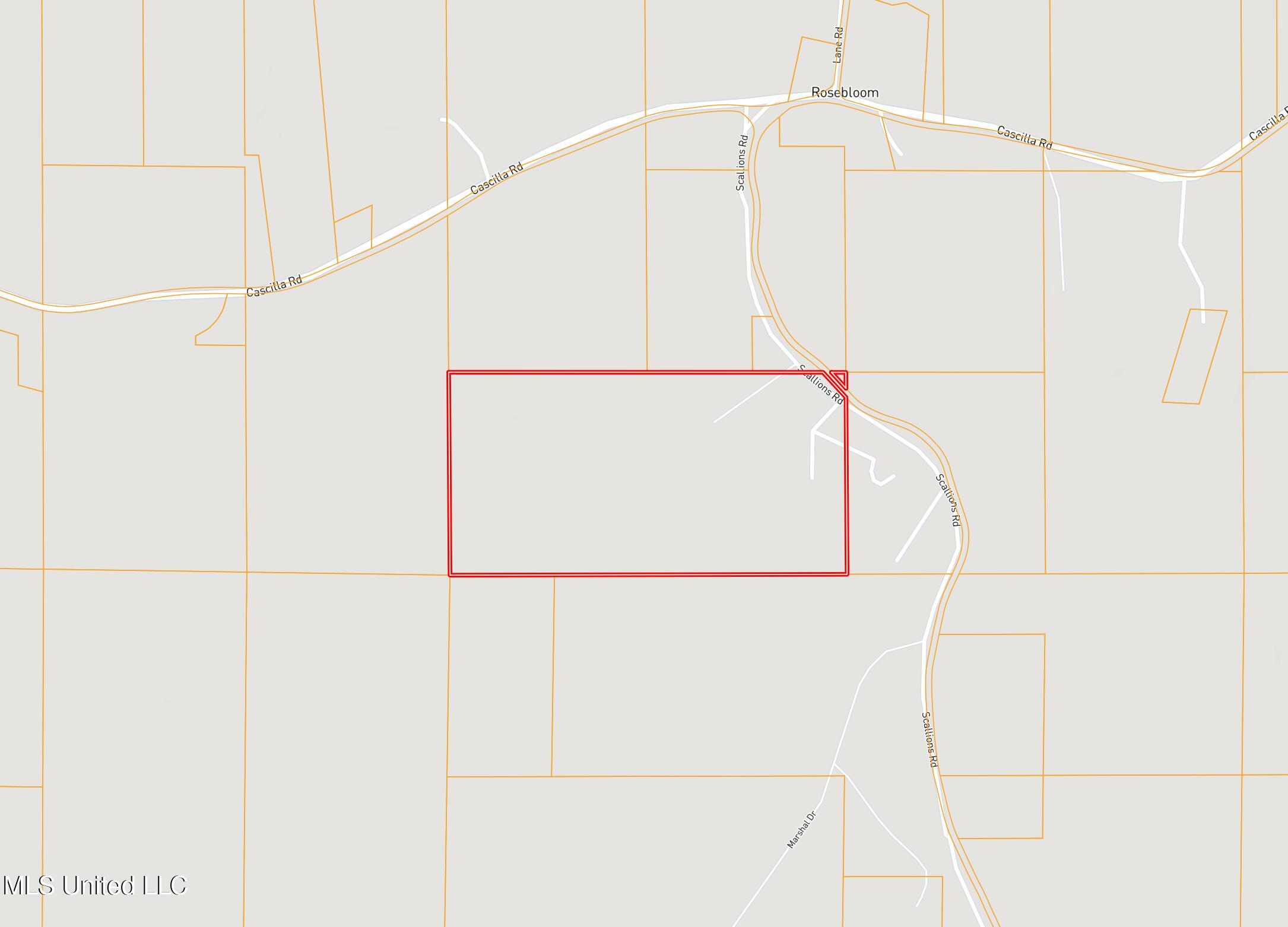 Scallions Road Property Photo 20