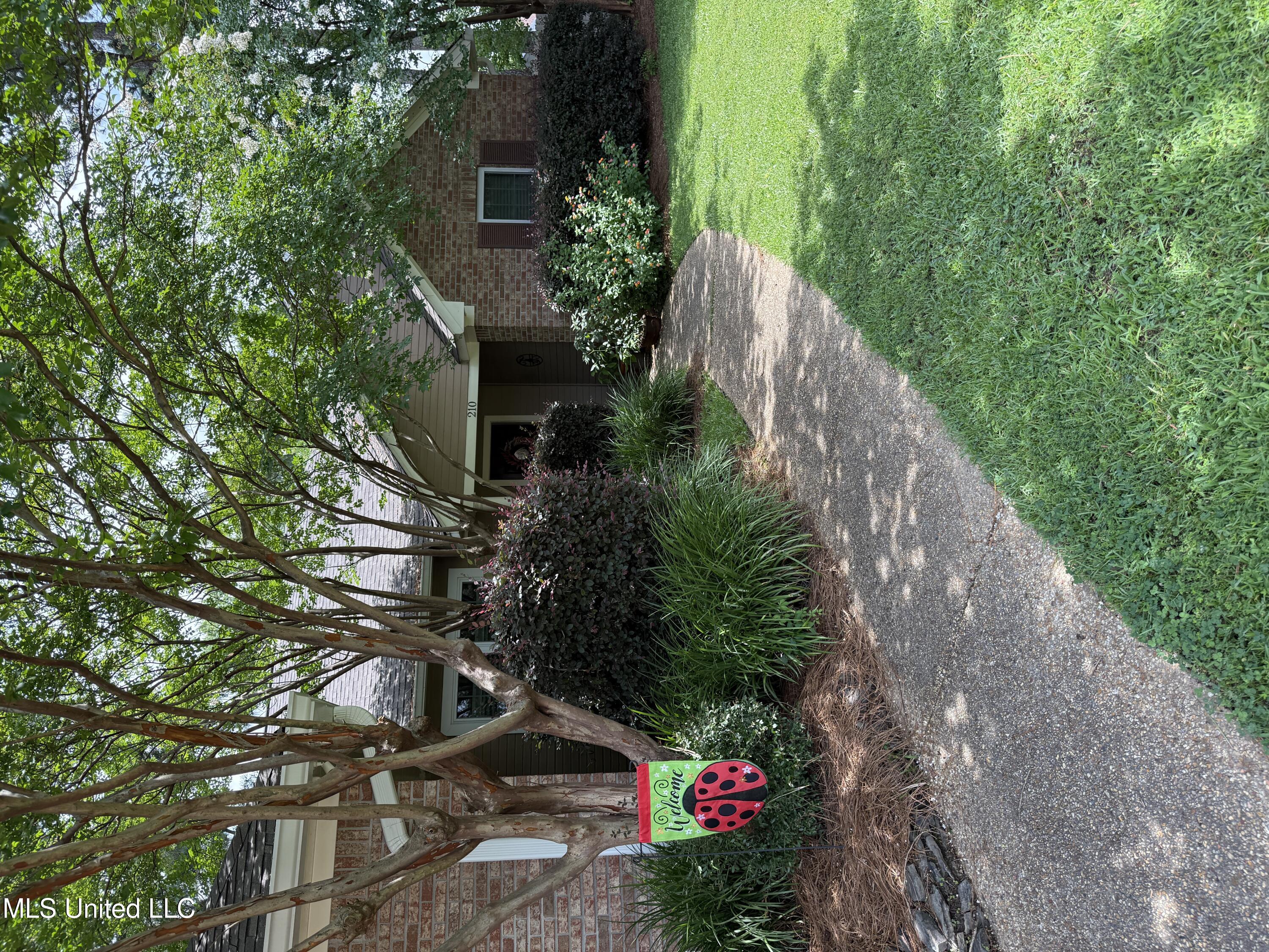 210 Laurel Oak Cove Property Photo