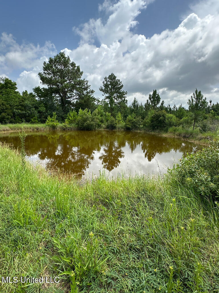 4360 Thirty Fifth Street Property Photo 20