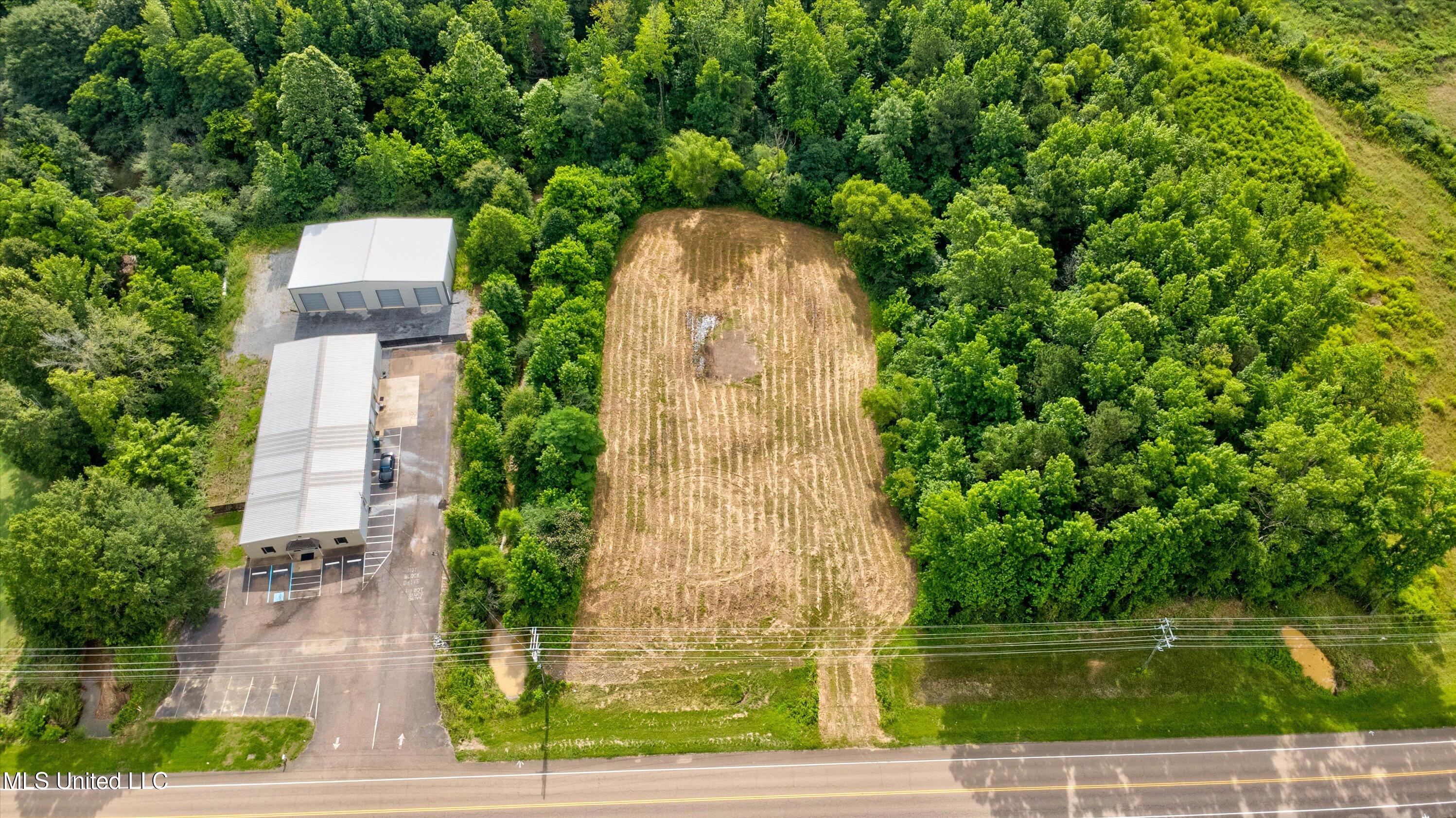 Scott Street Property Photo 3