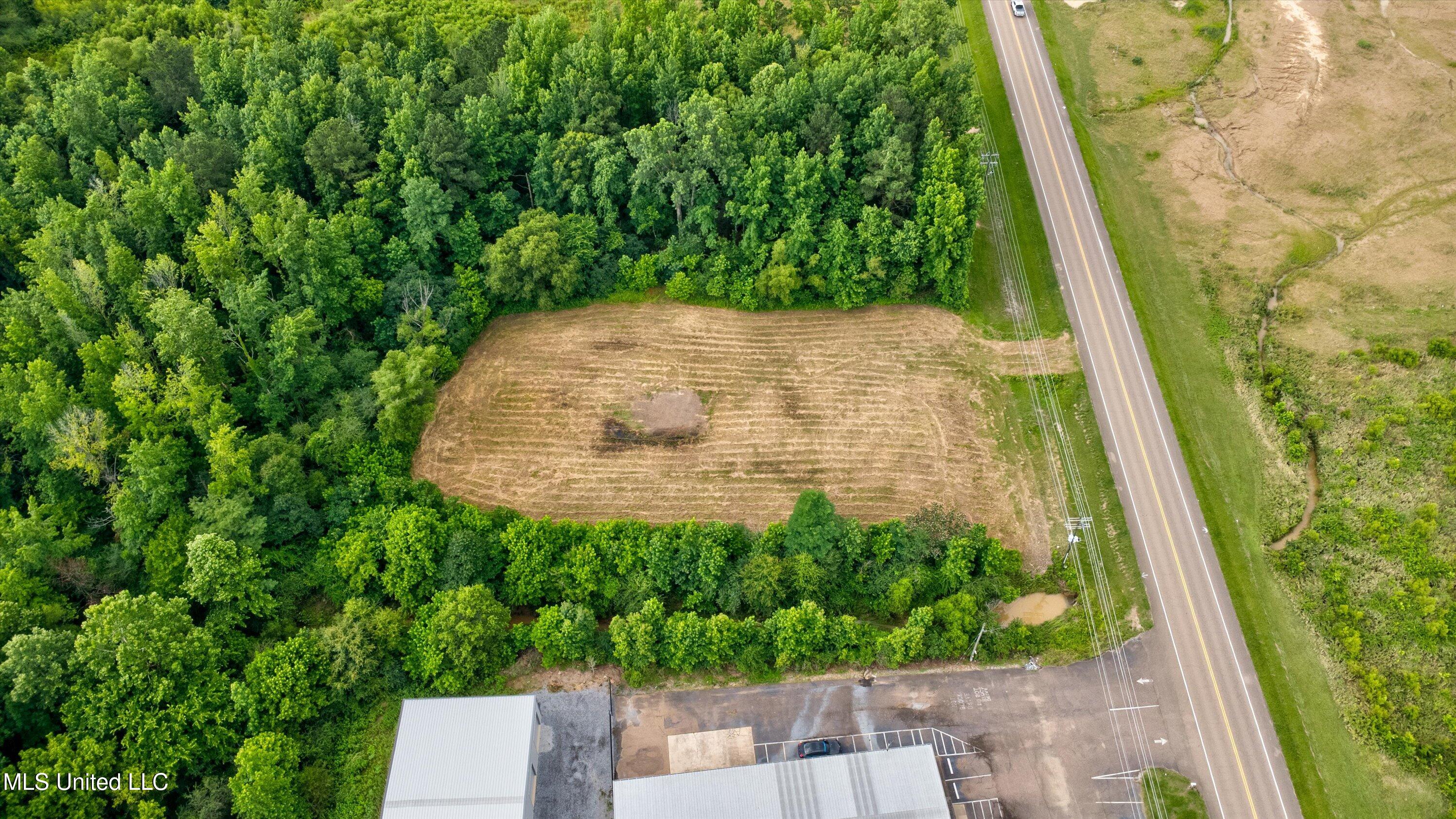 Scott Street Property Photo 7