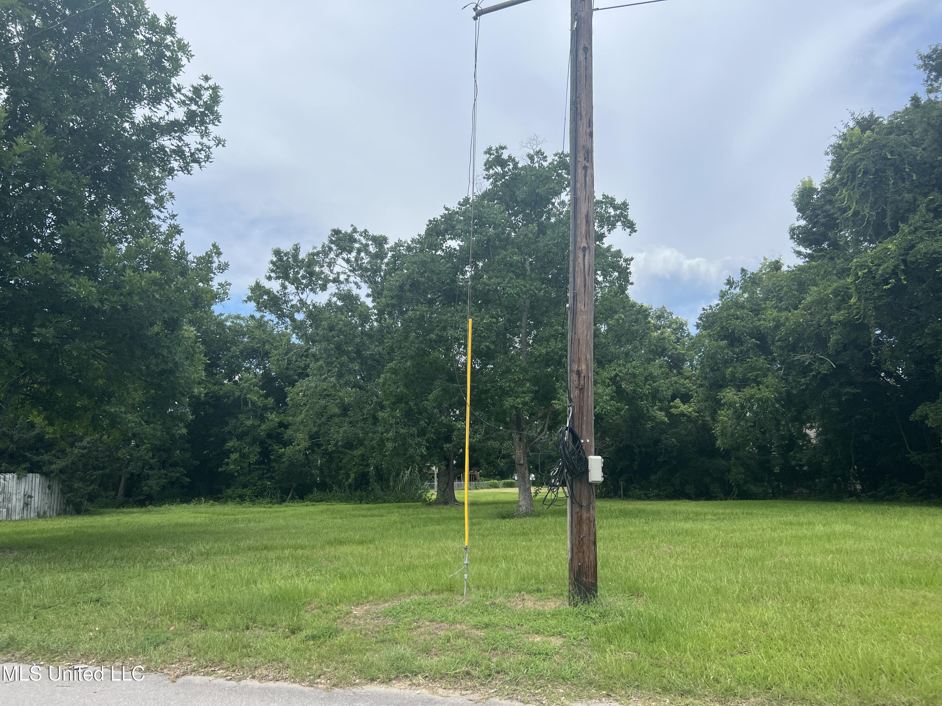 308 Dunbar Street Property Photo 3