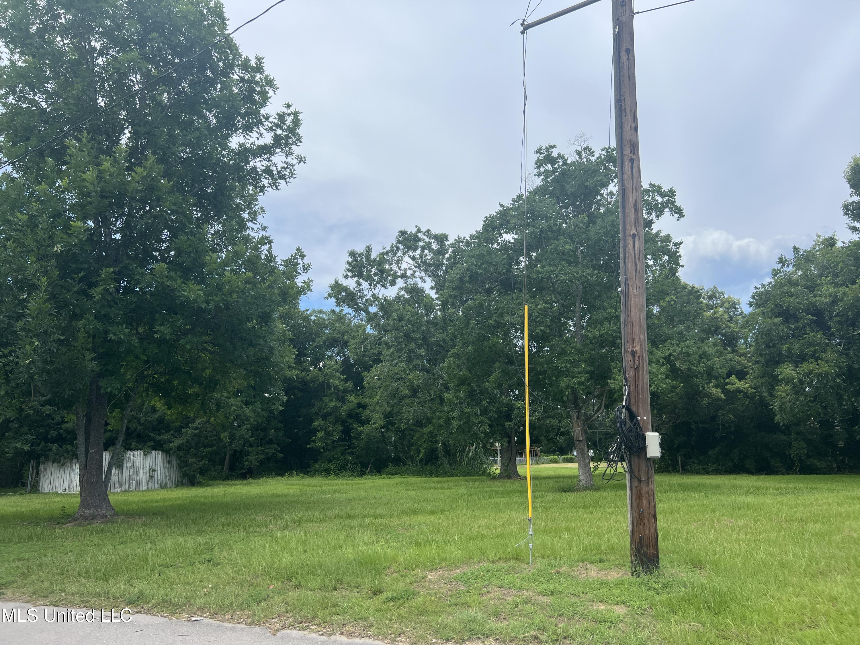 308 Dunbar Street Property Photo 4