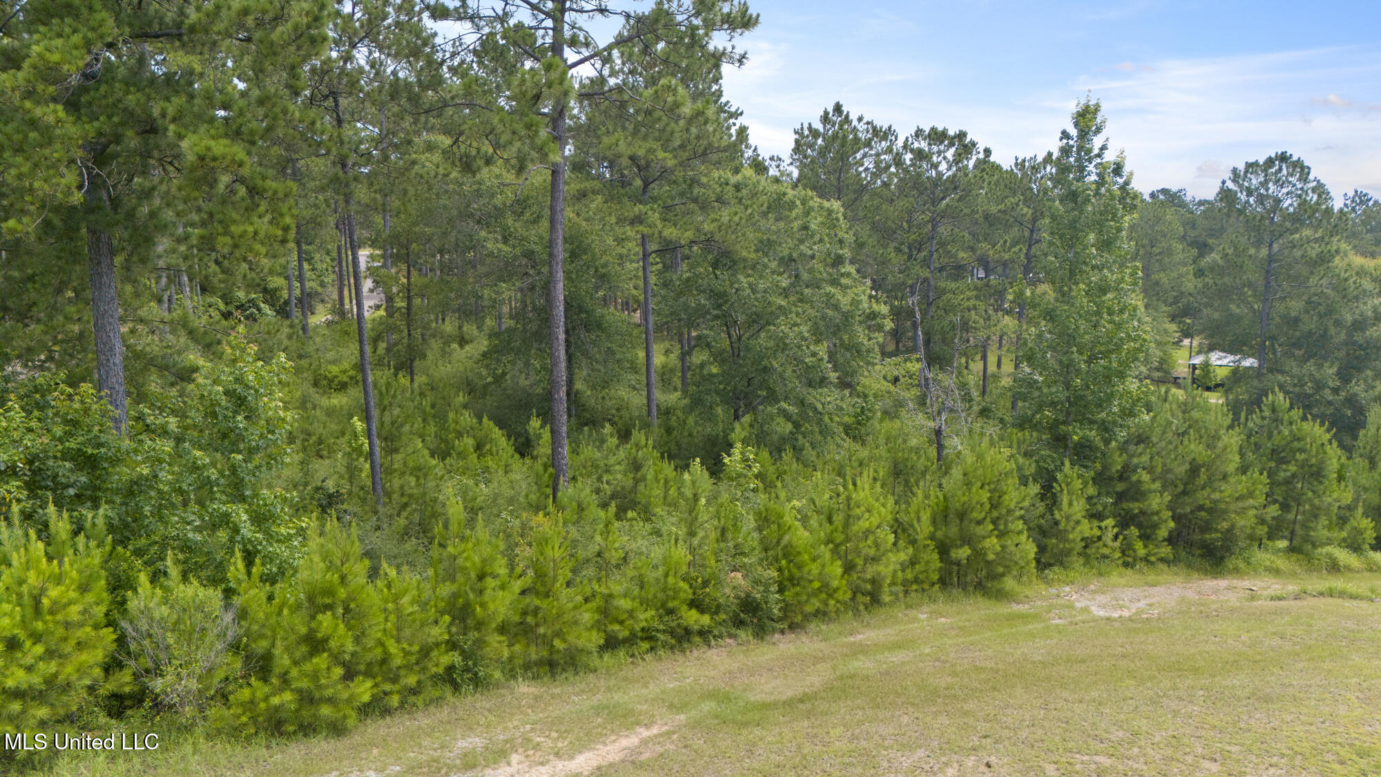 Burnt Pine Road Property Photo 9