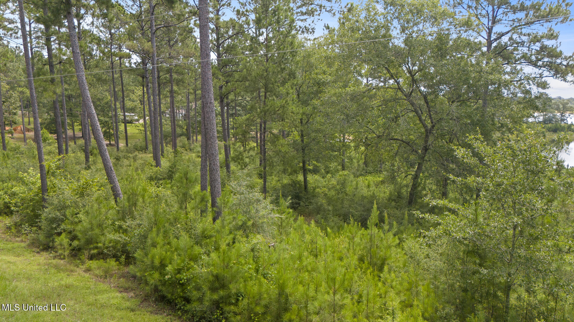 Burnt Pine Road Property Photo 10