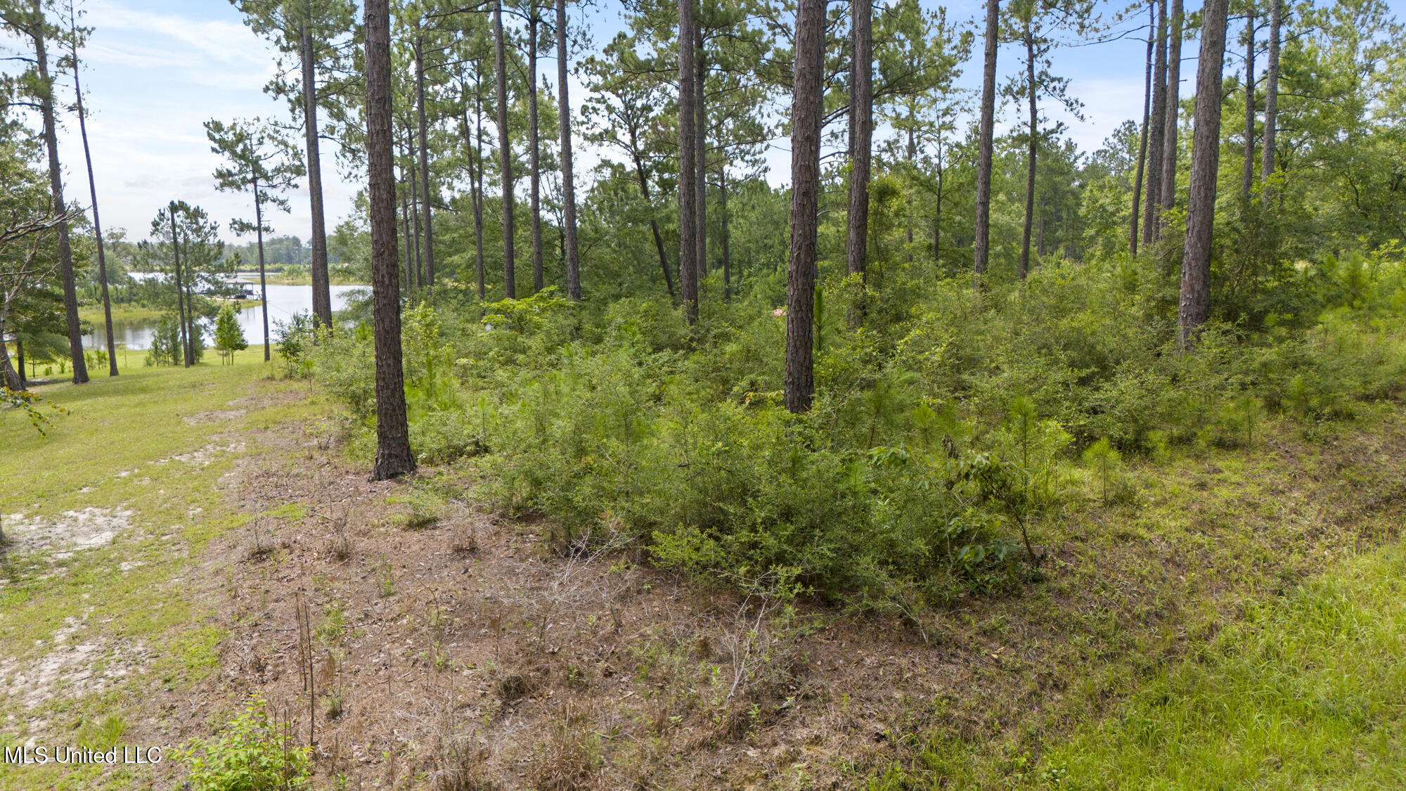 Burnt Pine Road Property Photo 11
