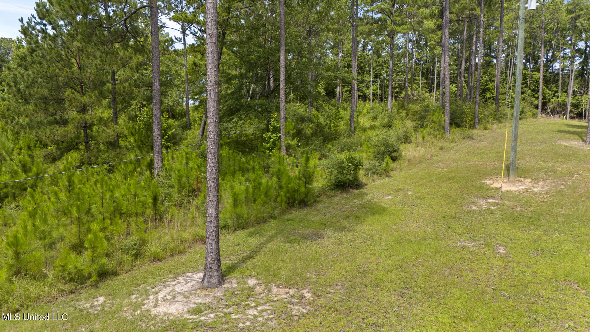 Burnt Pine Road Property Photo 13