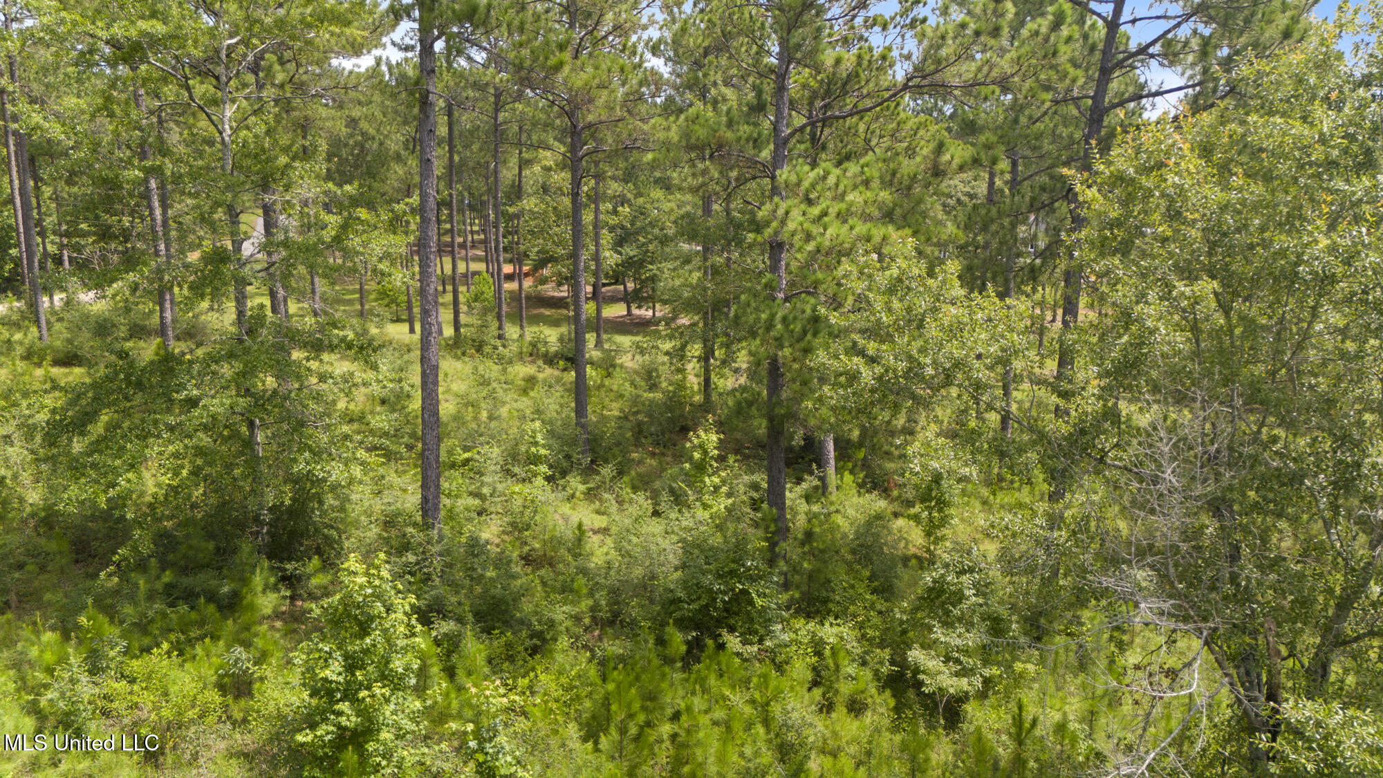 Burnt Pine Road Property Photo 16